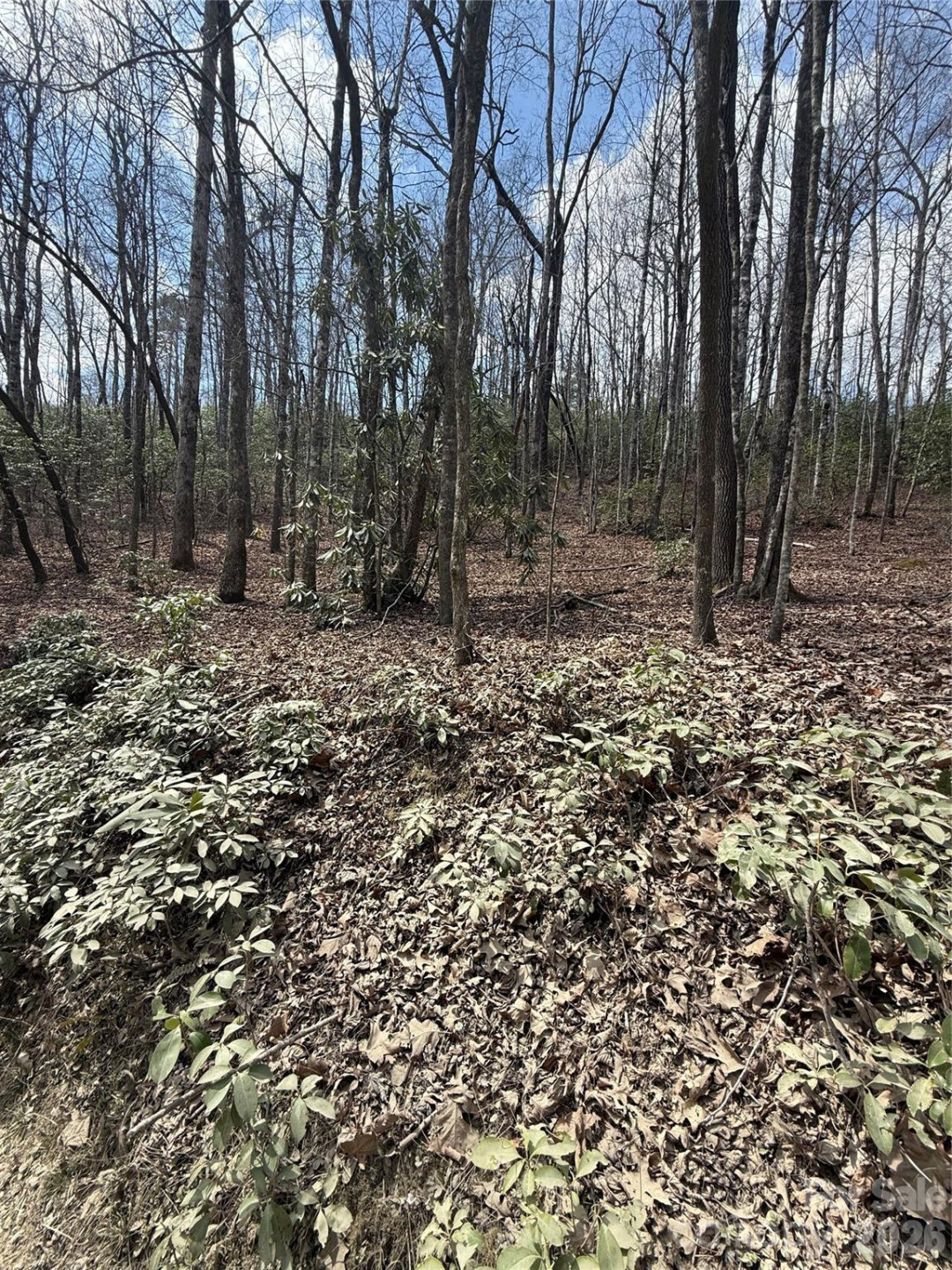 00 Line Runner Ridge Road - Photo 14