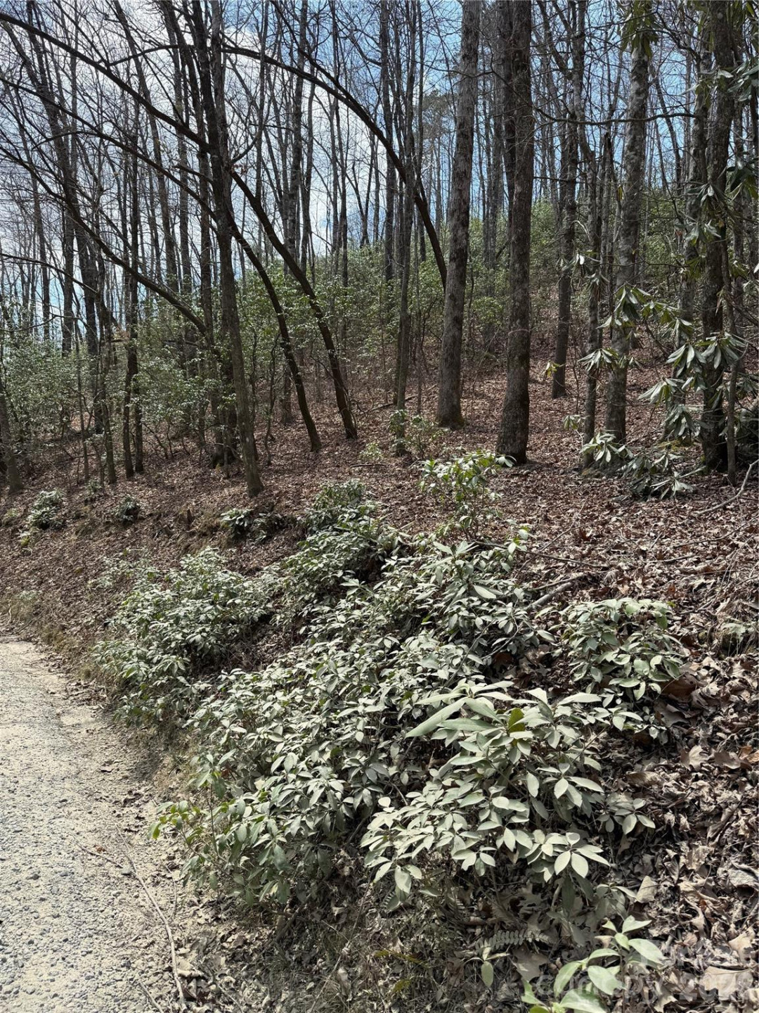 00 Line Runner Ridge Road - Photo 15