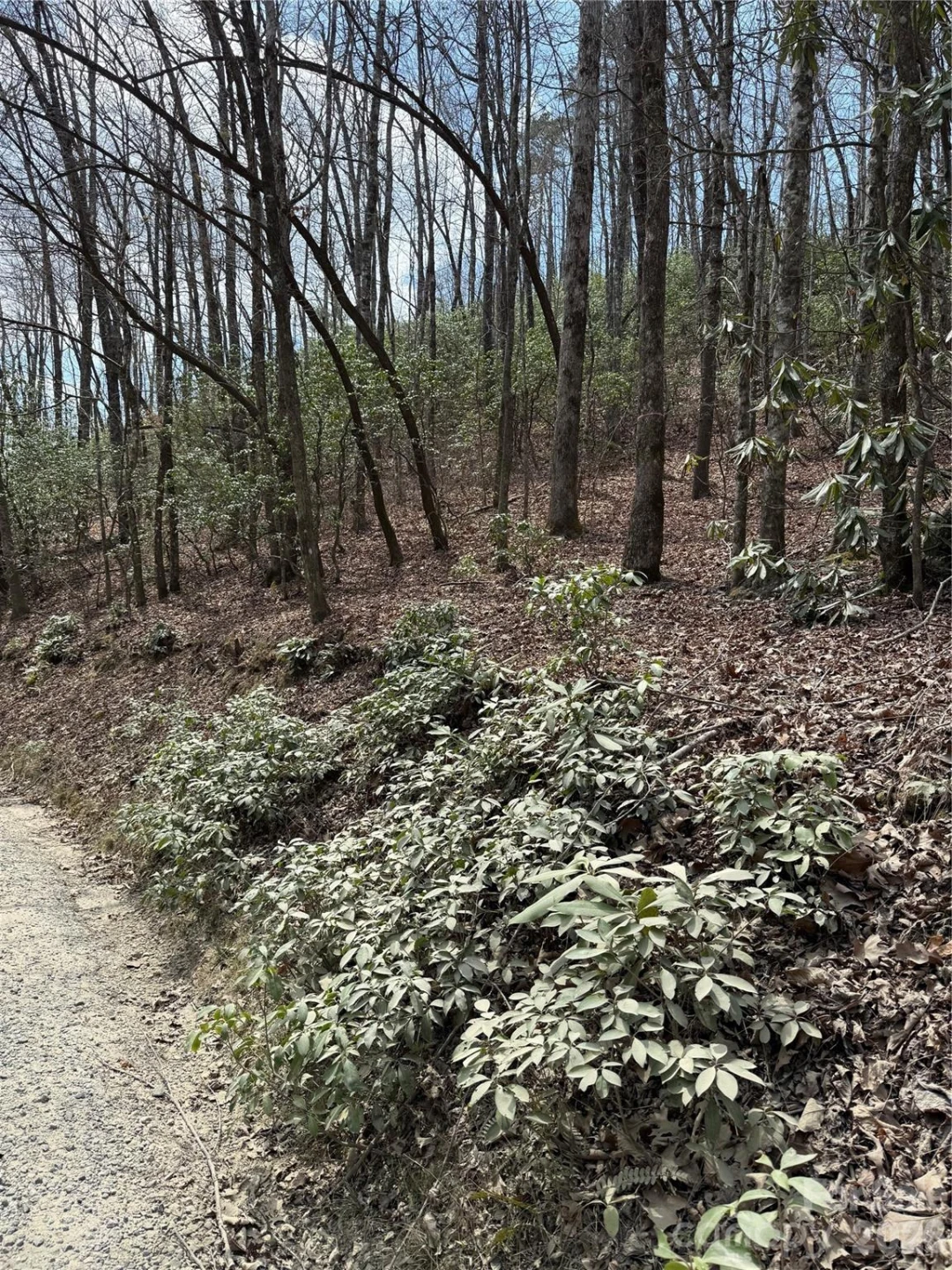 00 Line Runner Ridge Road - Photo 15
