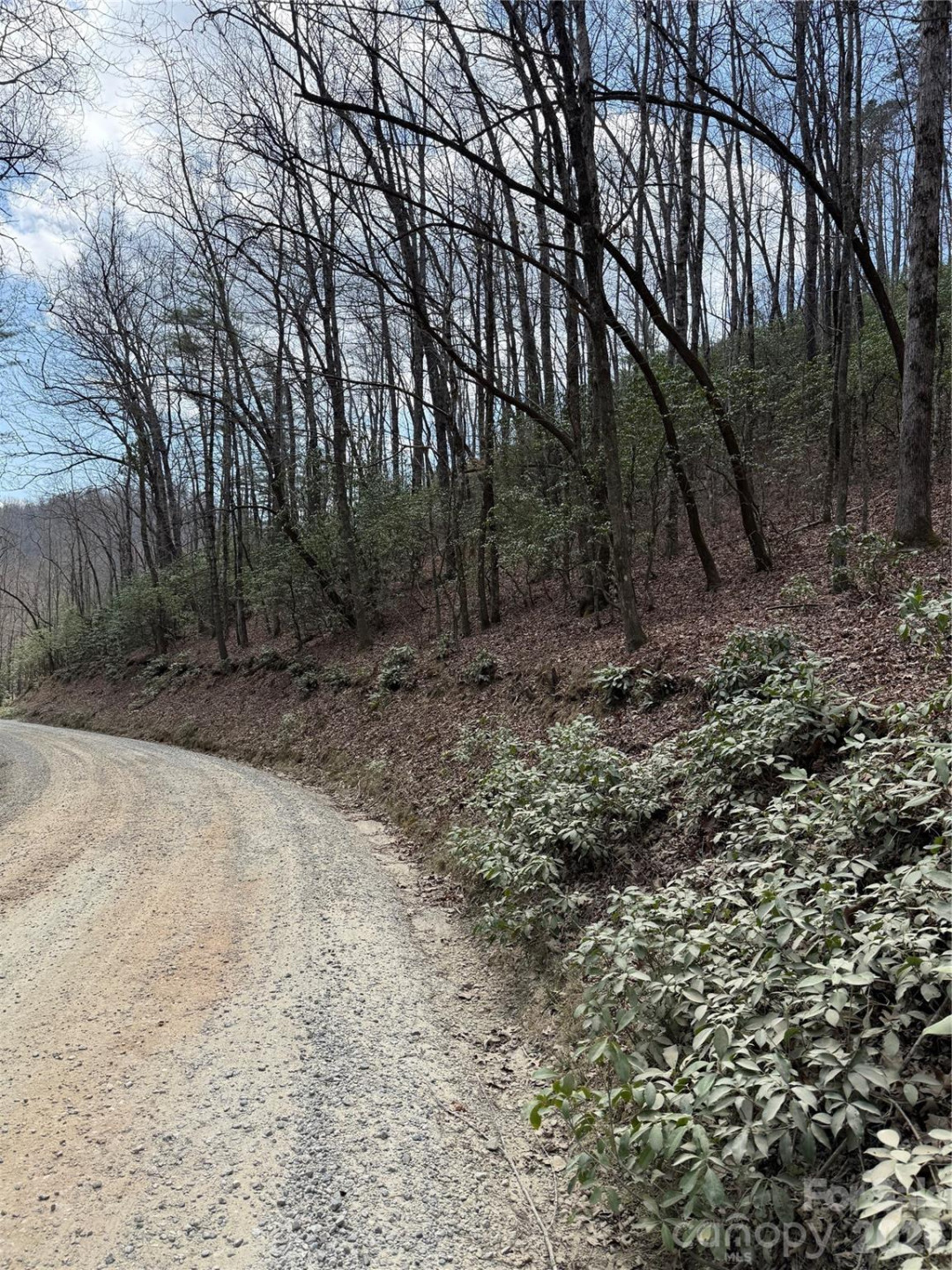 00 Line Runner Ridge Road - Photo 16