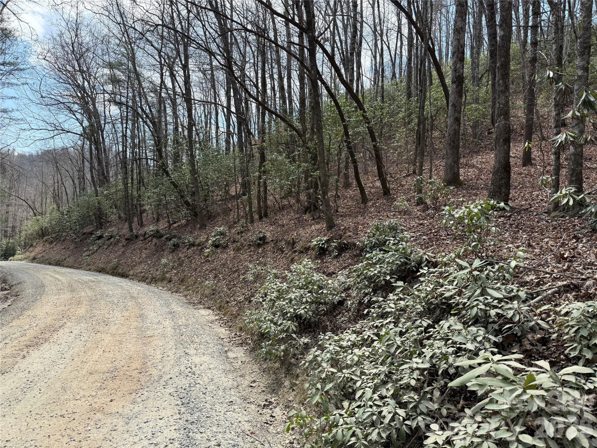 00 Line Runner Ridge Road - Photo 17