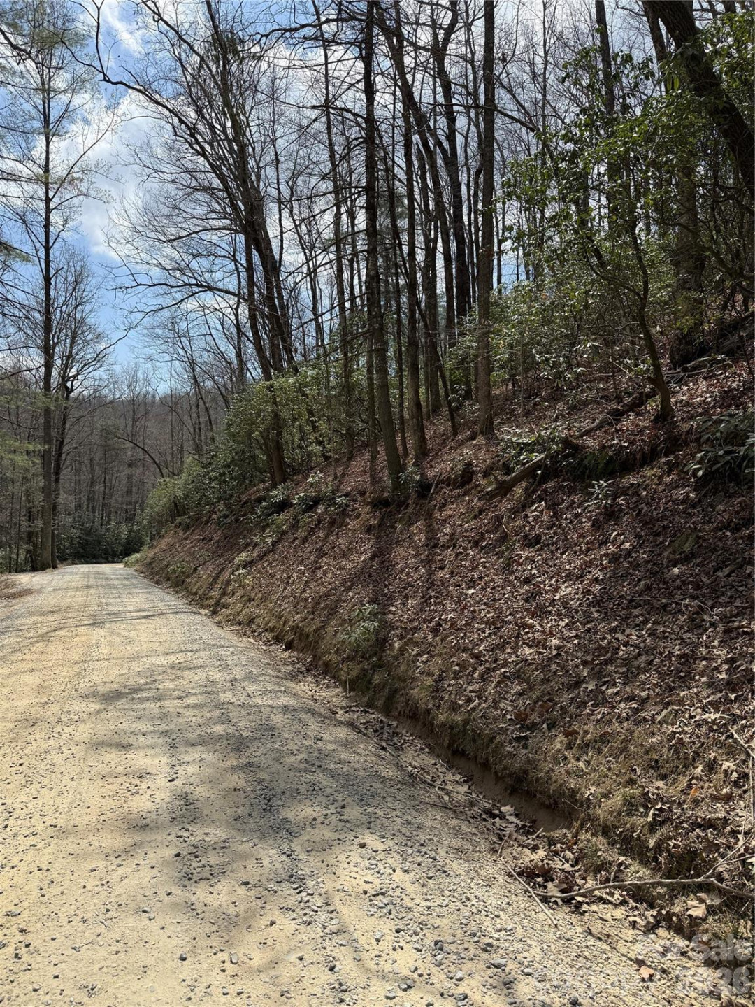 00 Line Runner Ridge Road - Photo 18