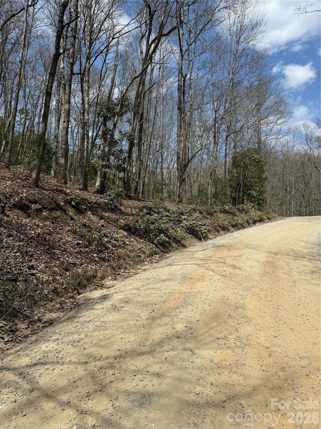 00 Line Runner Ridge Road - Photo 19