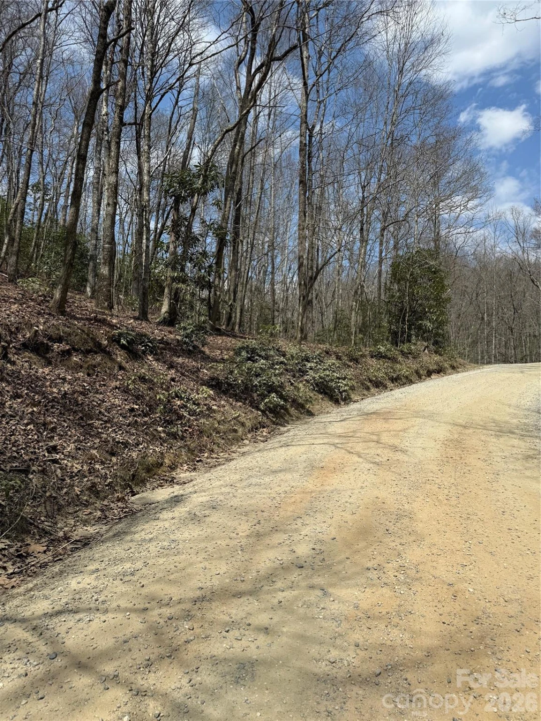 00 Line Runner Ridge Road - Photo 19