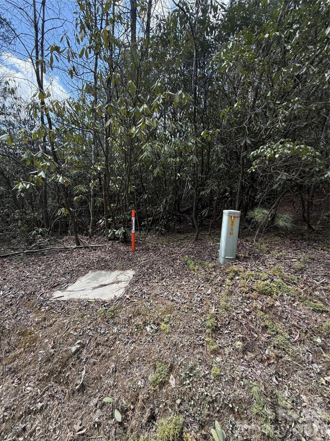 00 Line Runner Ridge Road - Photo 20