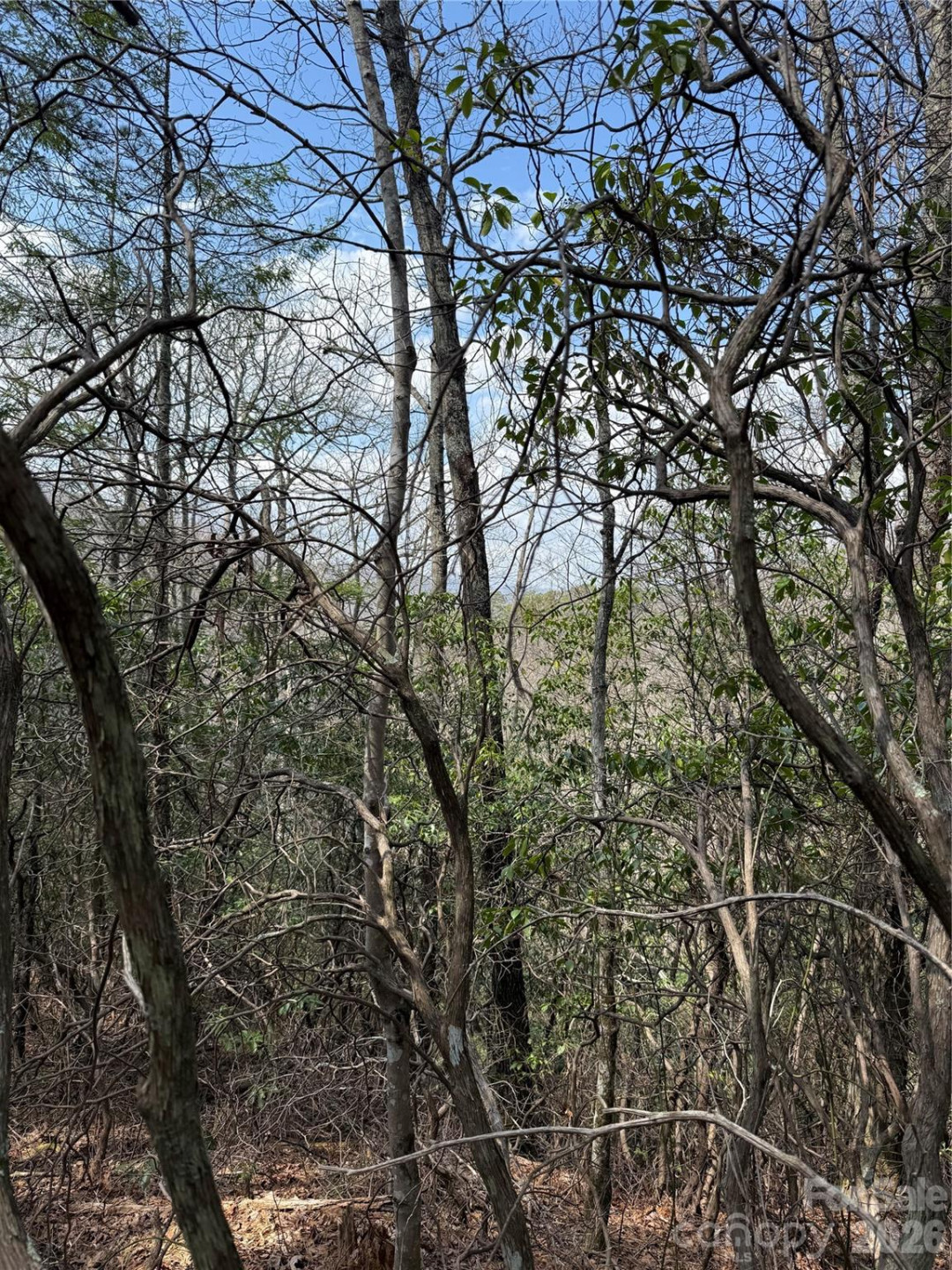 00 Line Runner Ridge Road - Photo 5