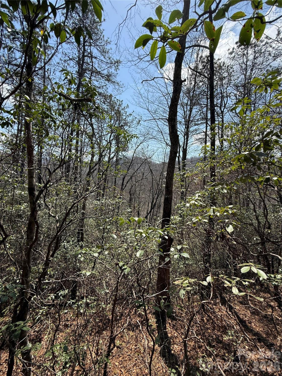 00 Line Runner Ridge Road - Photo 7