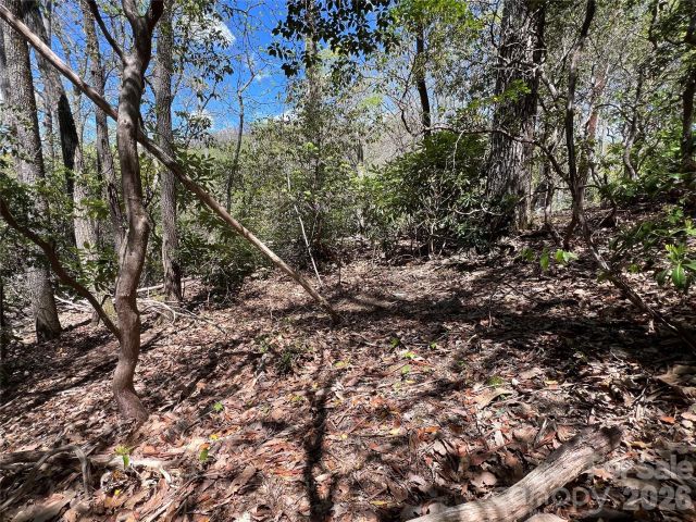 99999 Summer Haven Road, Swannanoa, NC, 28778