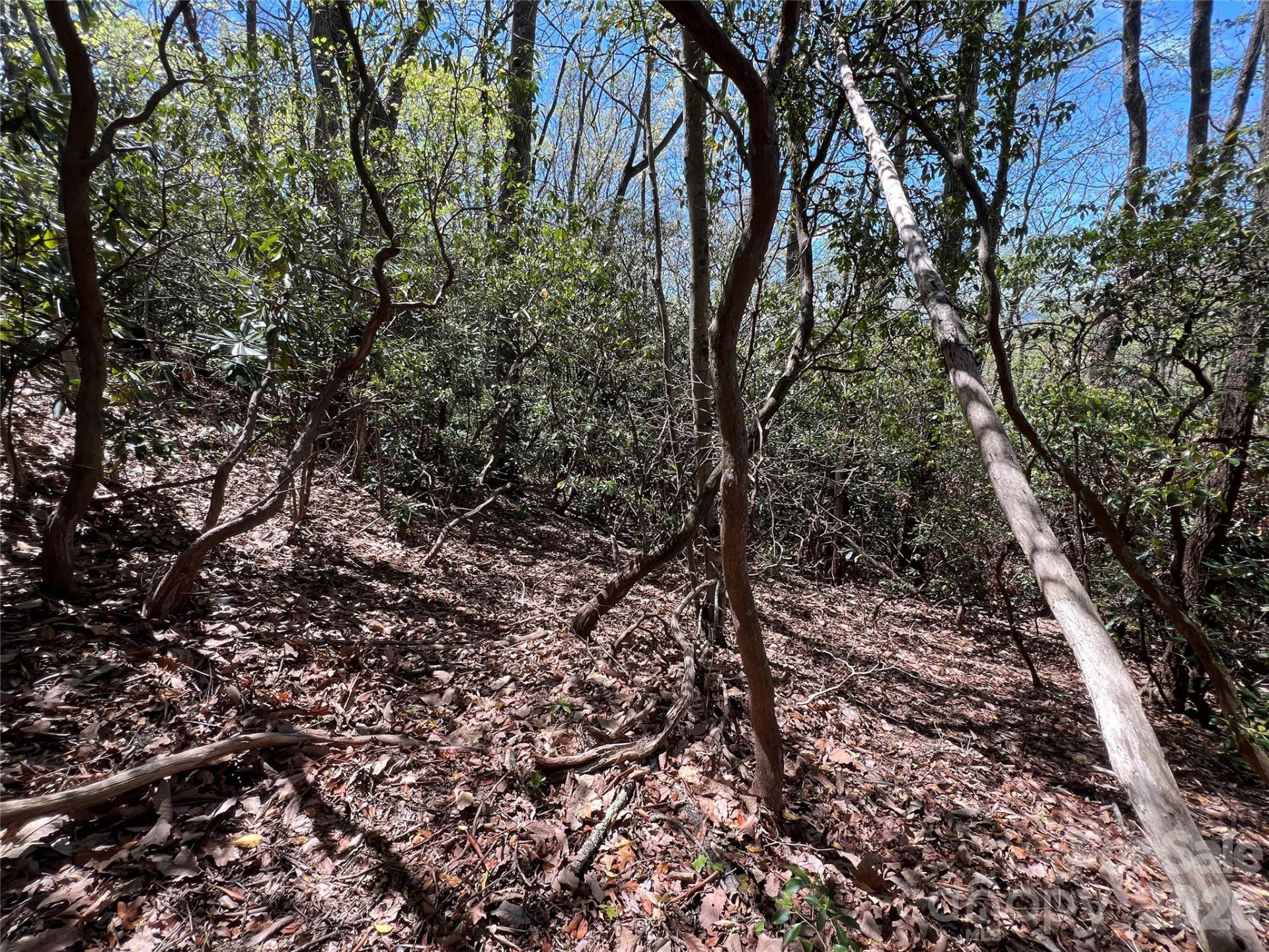 99999 Summer Haven Road - Photo 3