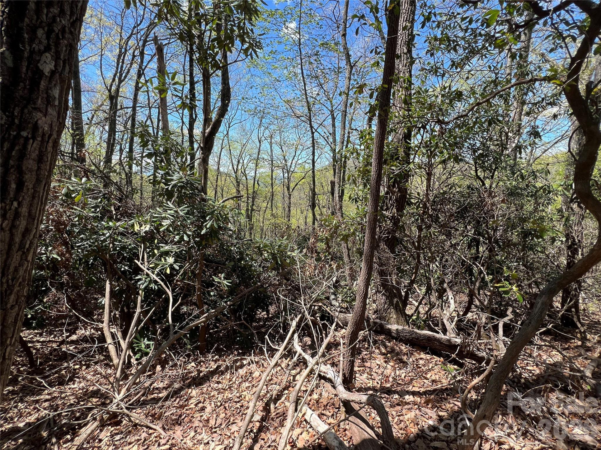 99999 Summer Haven Road - Photo 4