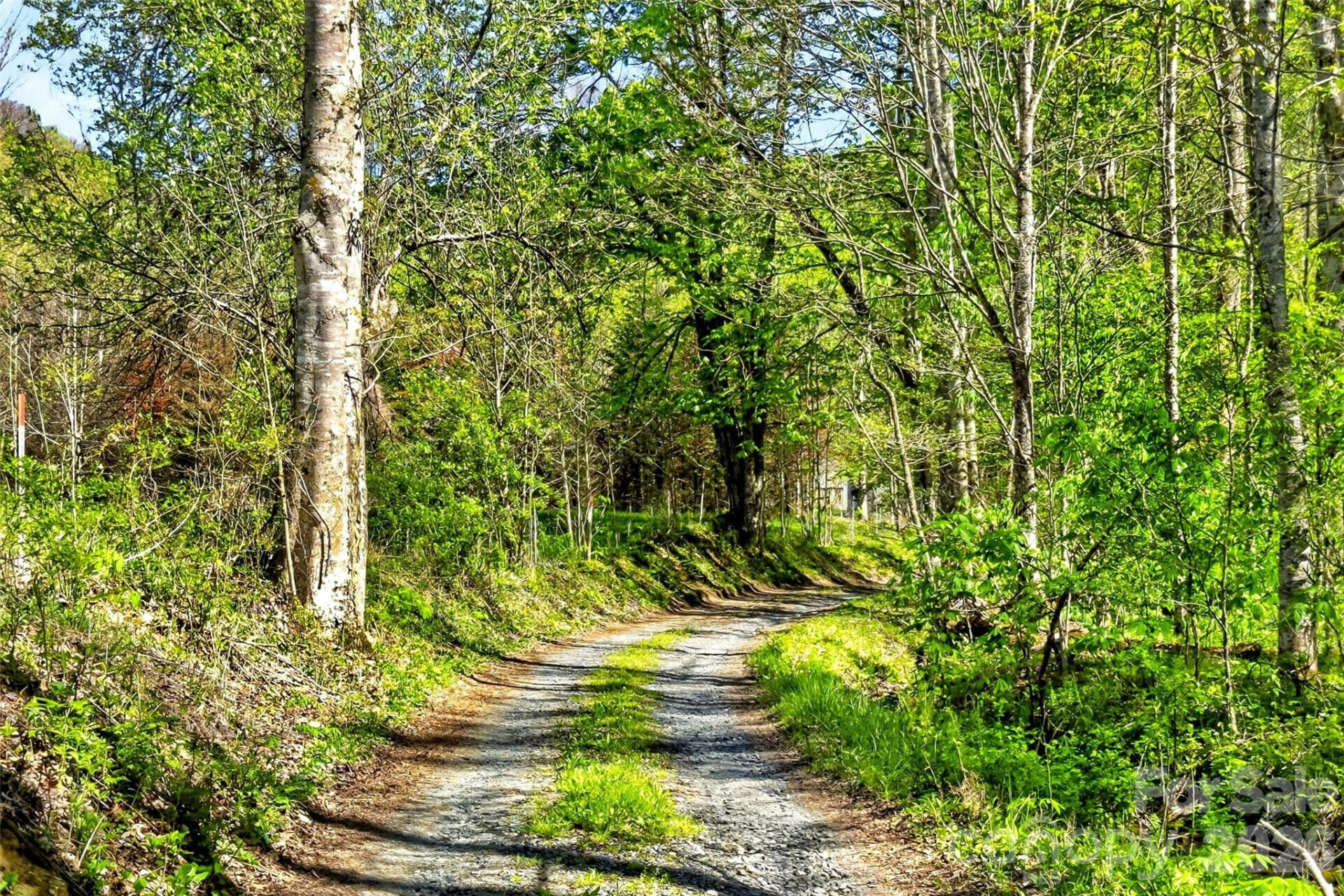 488 Cad Campbell Road - Photo 37