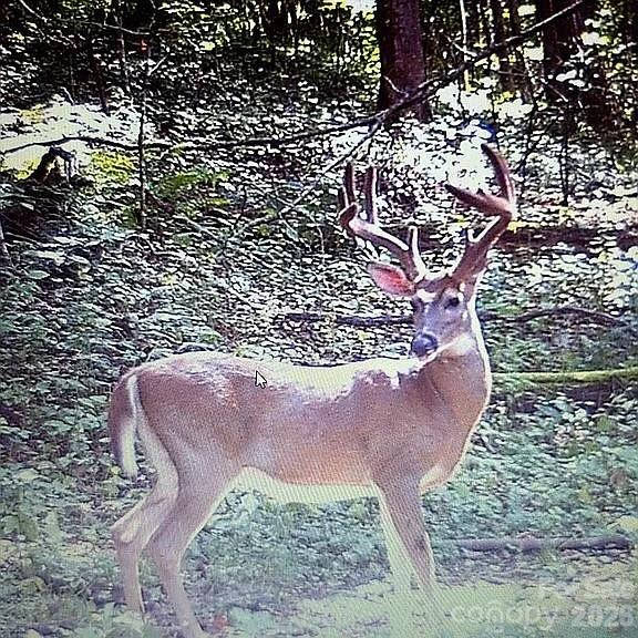 488 Cad Campbell Road - Photo 38