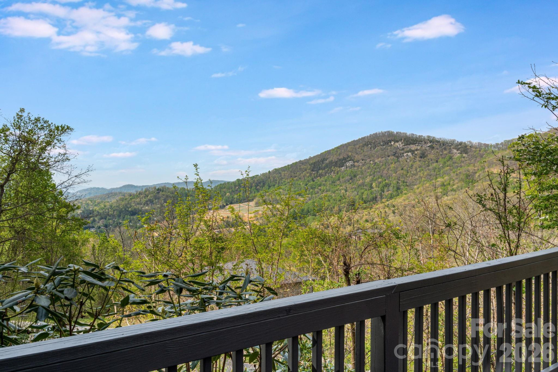 35 Chesten Mountain Drive - Photo 36