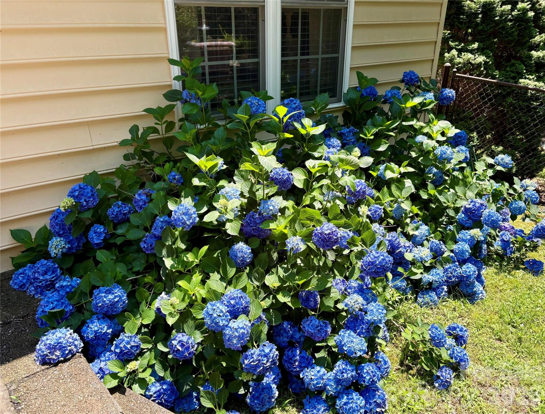 7940 Oakmont Court - Photo 31