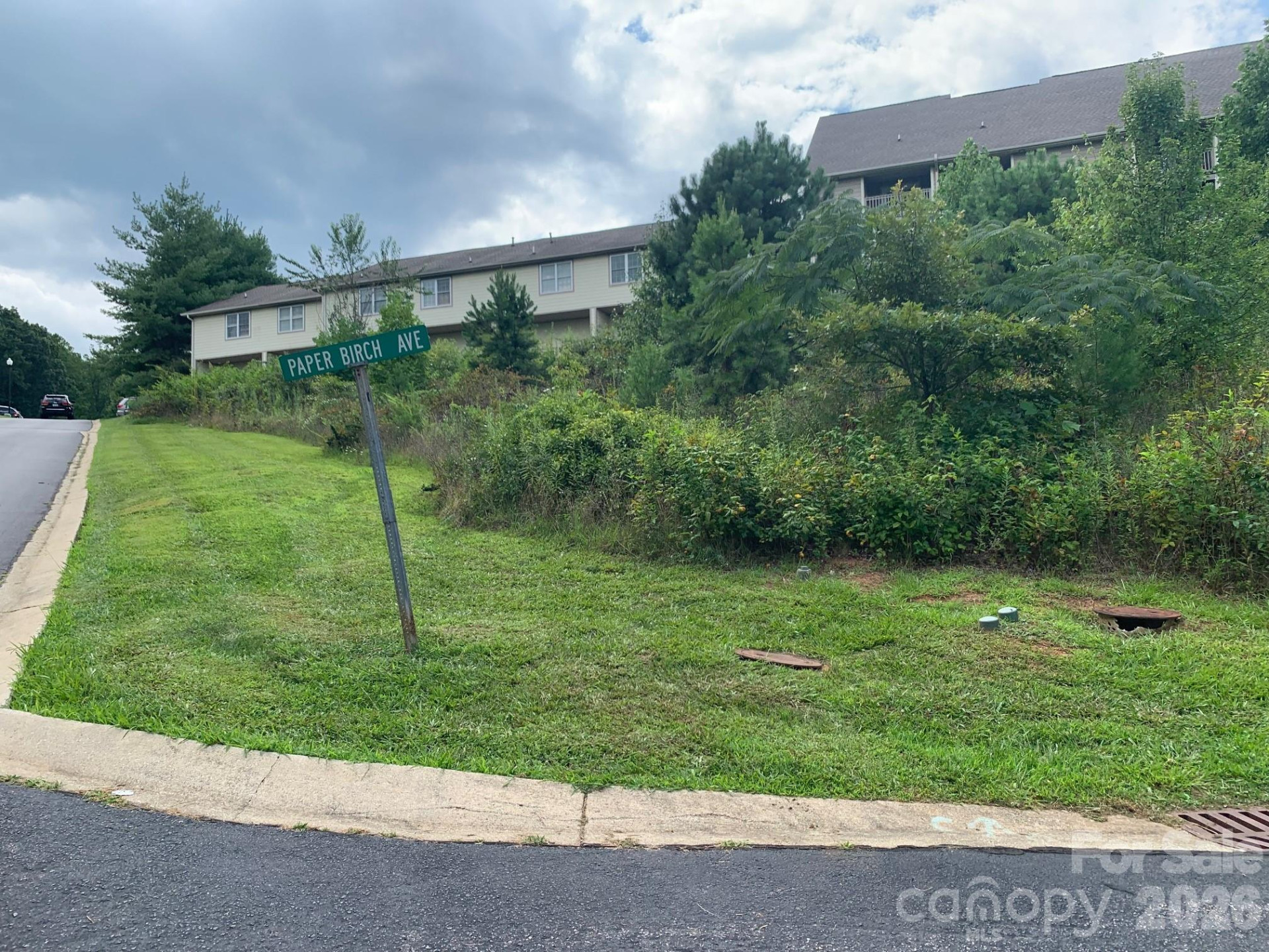 99999 Fallen Spruce Drive - Photo 4