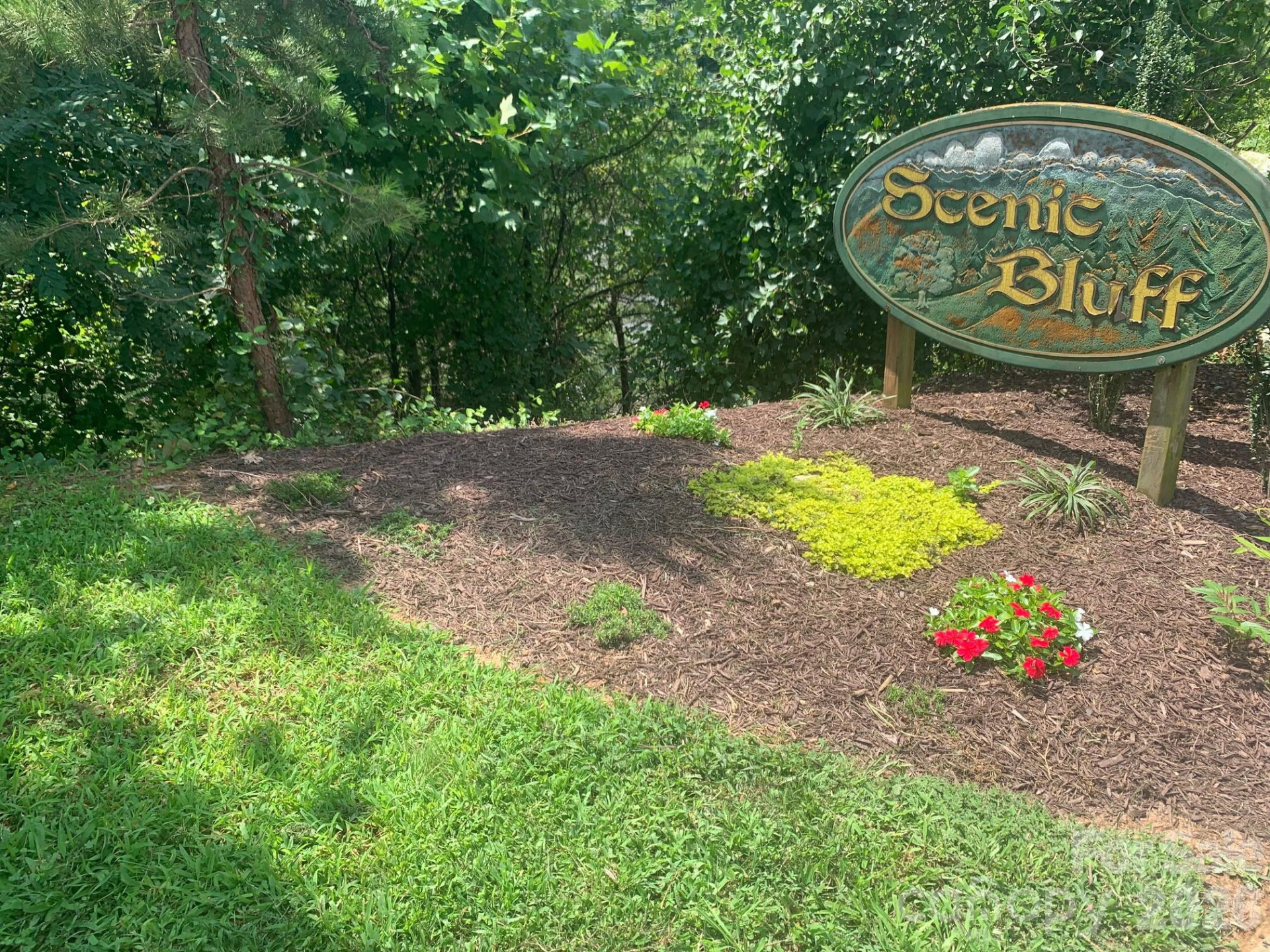 99999 Fallen Spruce Drive - Photo 5