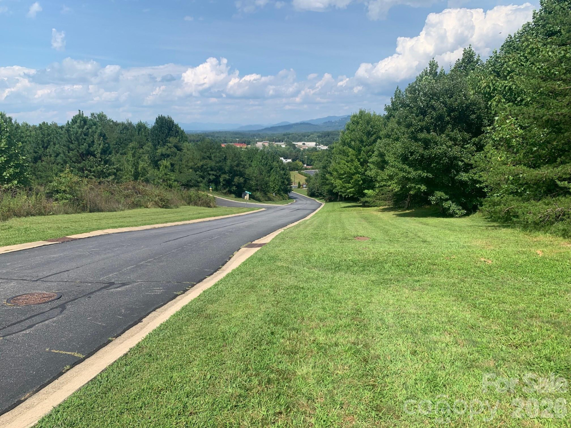 99999 Fallen Spruce Drive - Photo 6