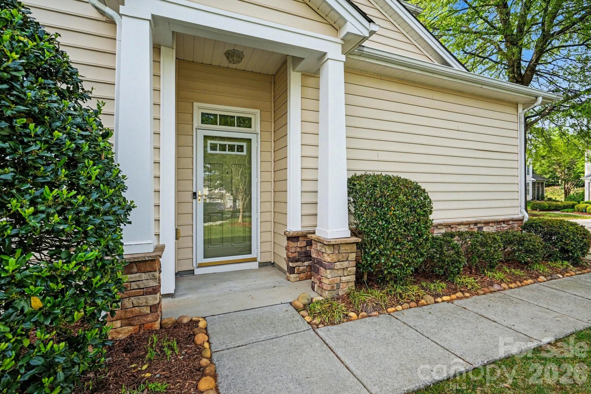 6005 Pale Moss Lane - Photo 3