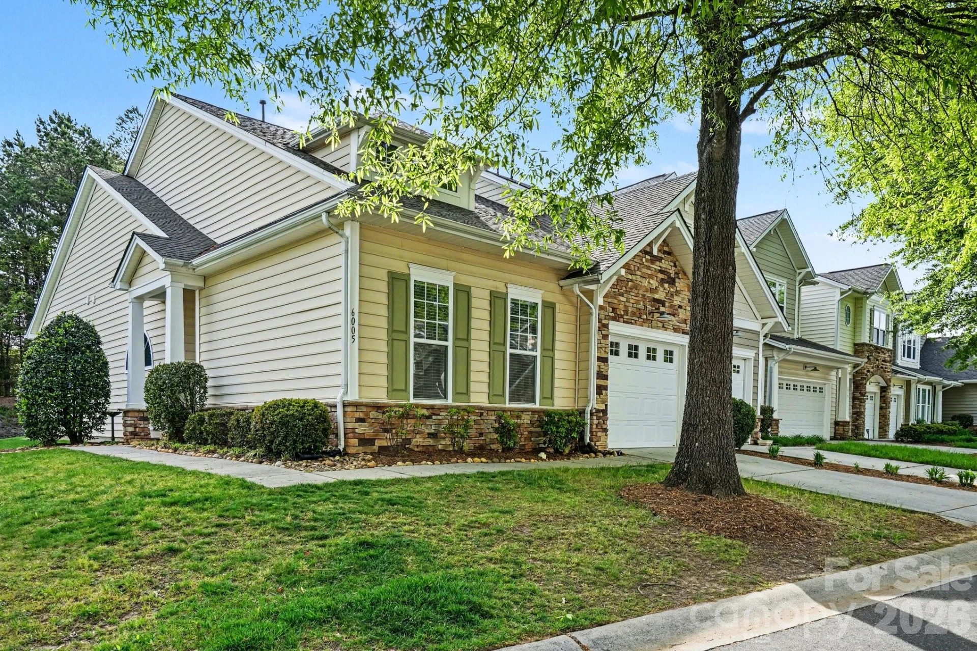 6005 Pale Moss Lane - Photo 4
