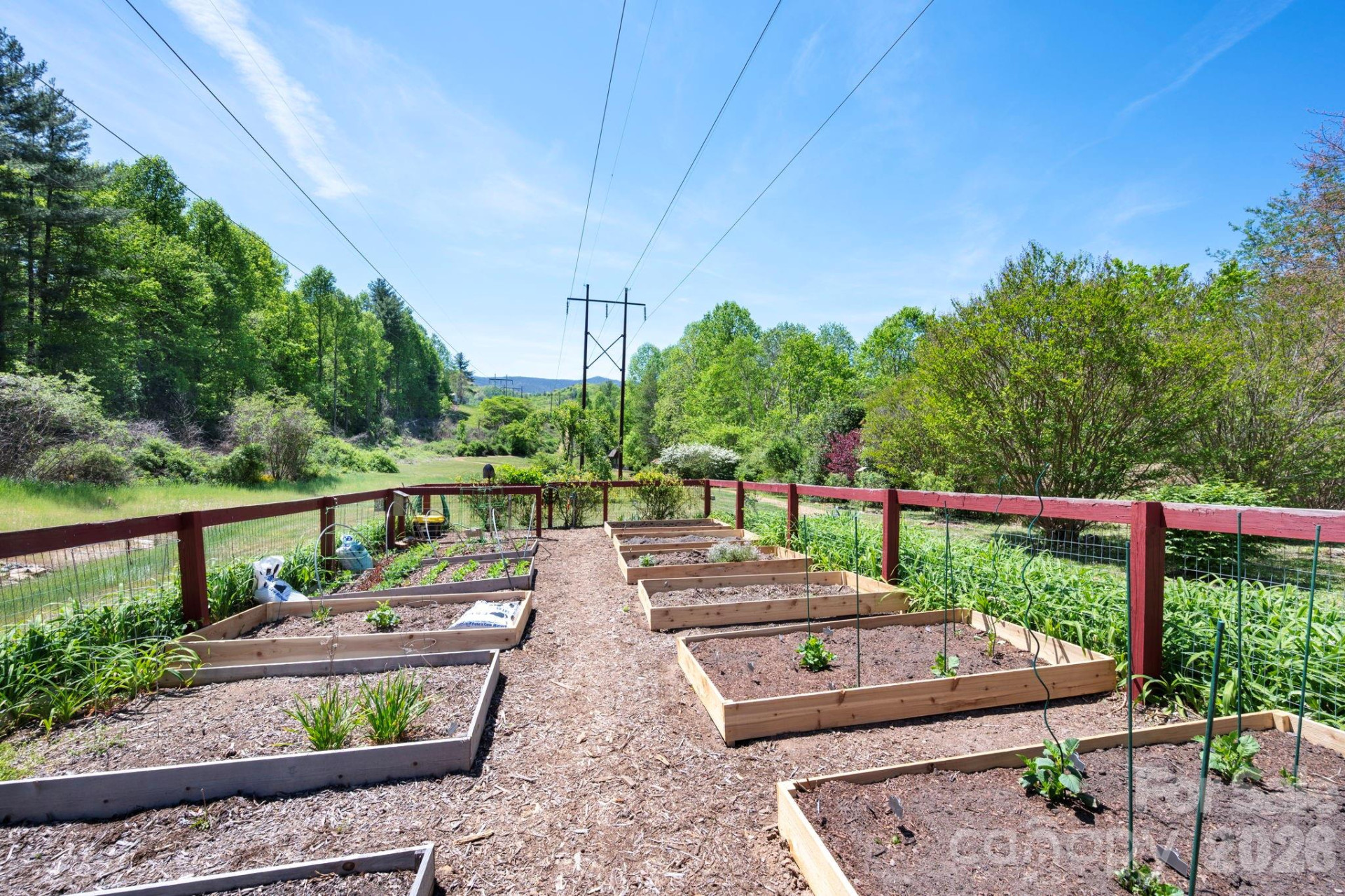 4 Fitzgerald Road - Photo 25