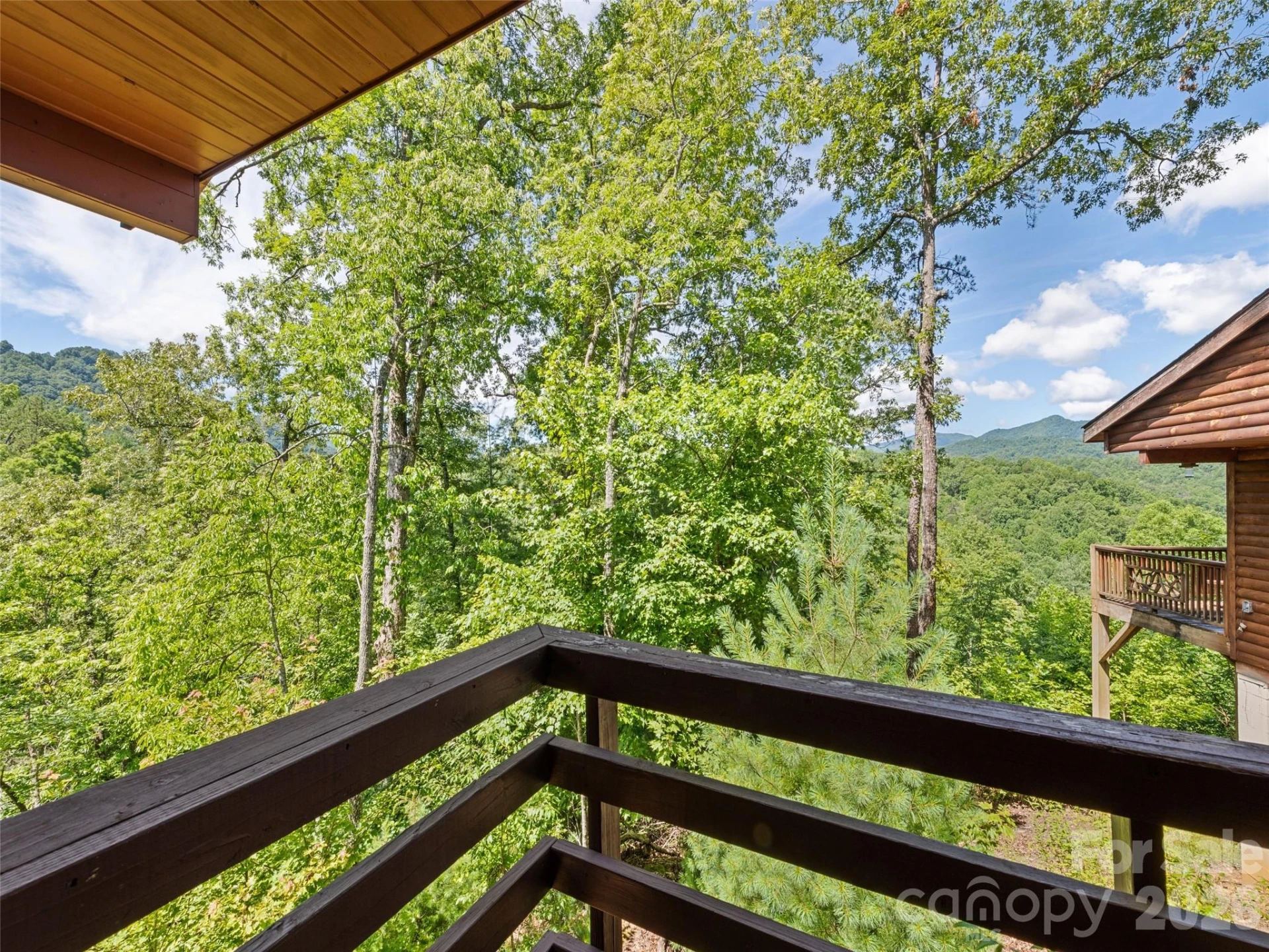 299 Blue Ridge Parkway - Photo 7