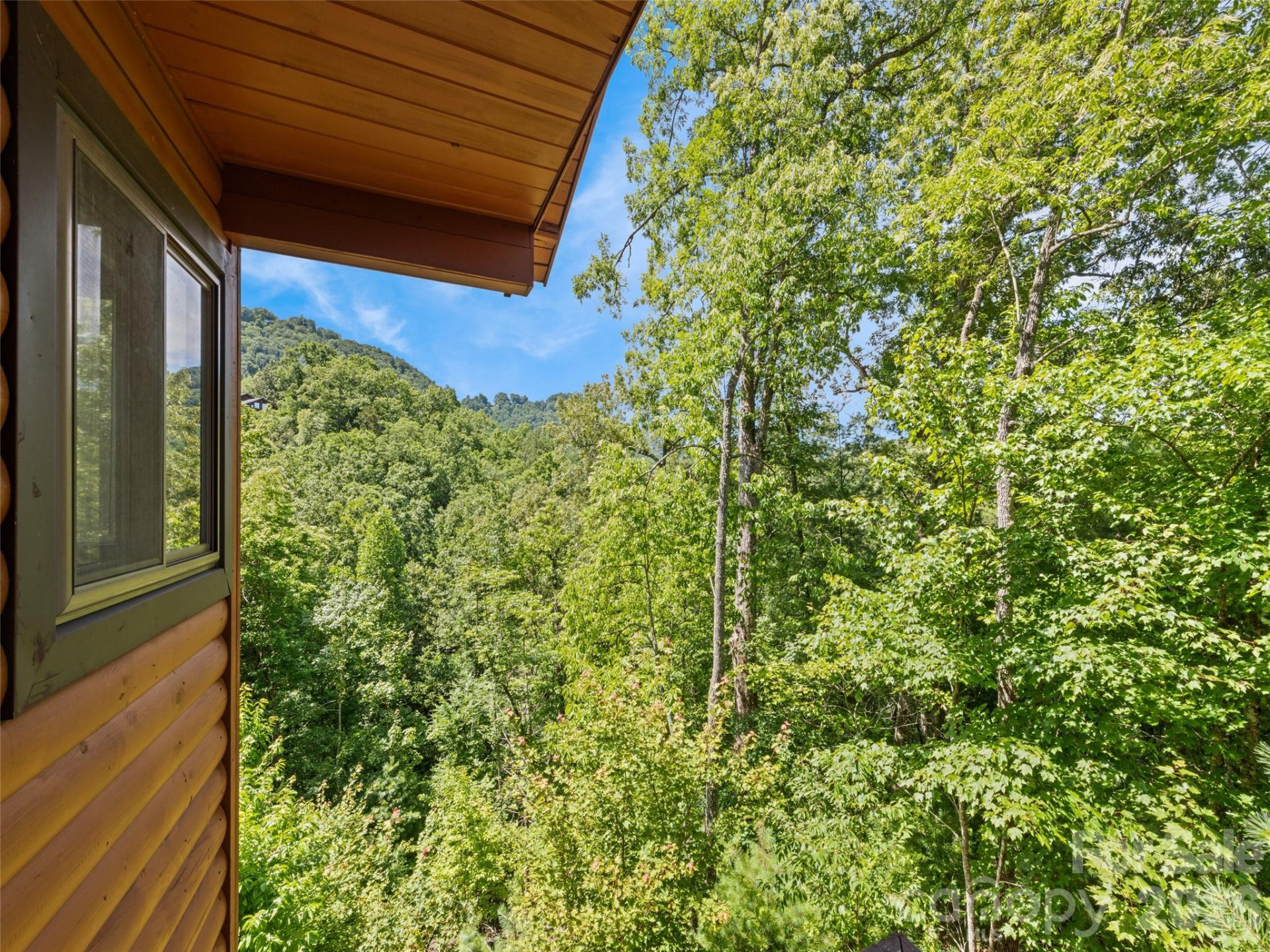 299 Blue Ridge Parkway - Photo 8