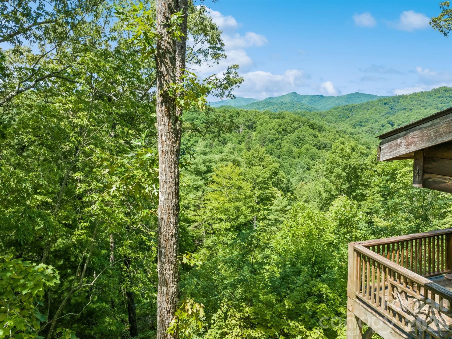 299 Blue Ridge Parkway - Photo 9