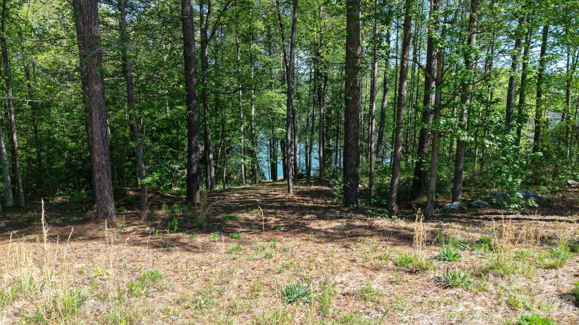 105 Beacon Ridge Drive - Photo 16