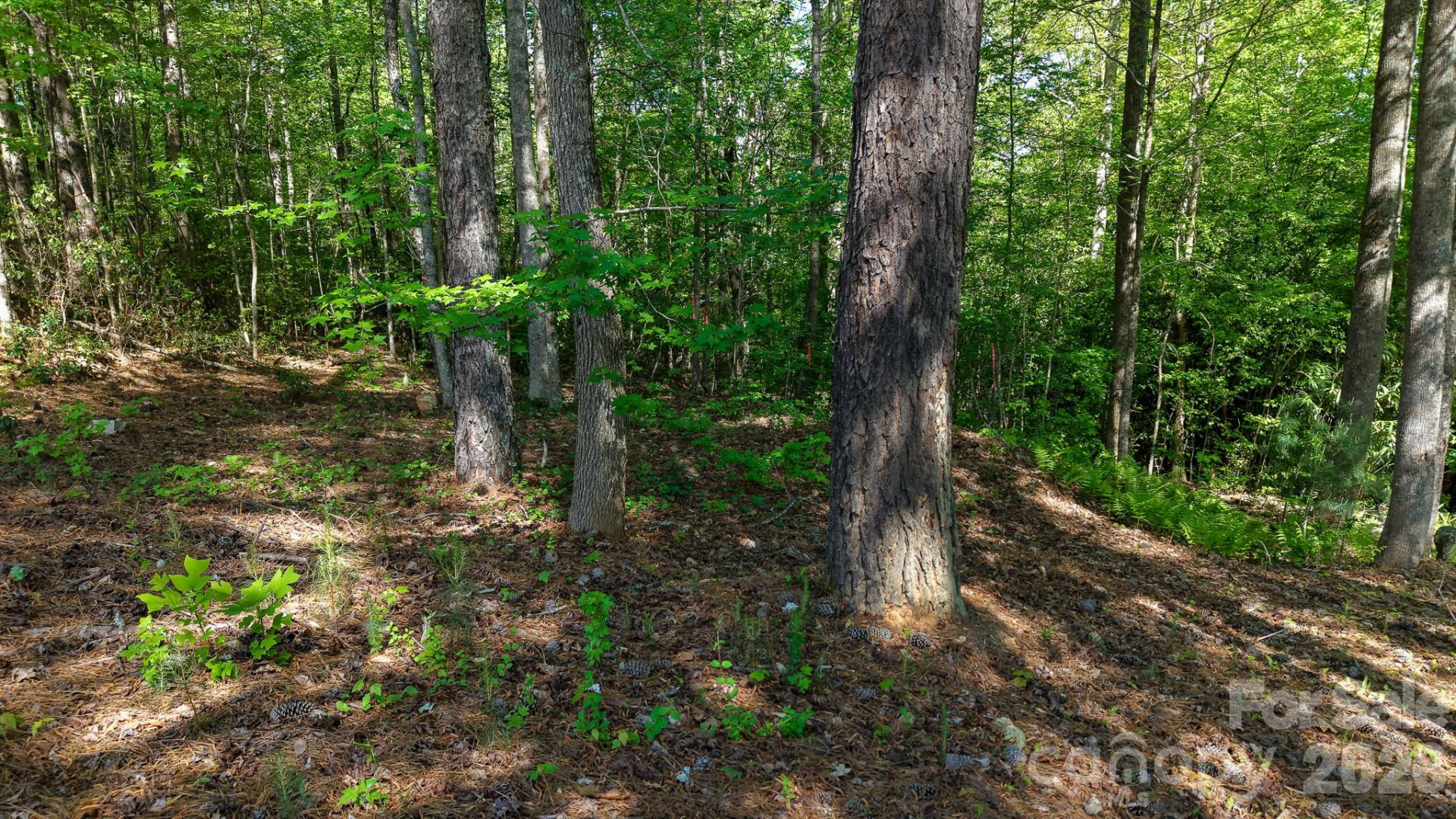 105 Beacon Ridge Drive - Photo 17