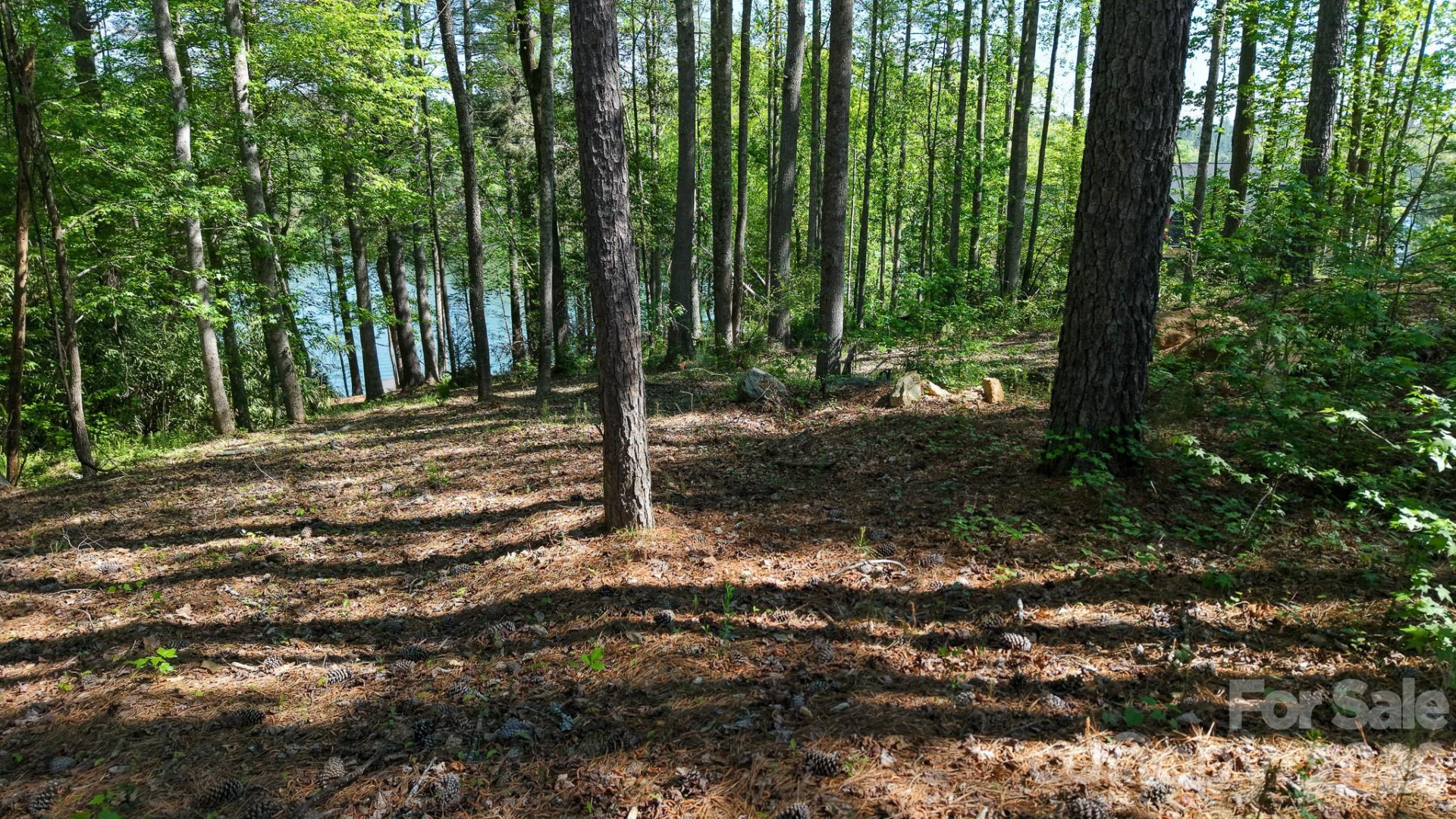 105 Beacon Ridge Drive - Photo 18