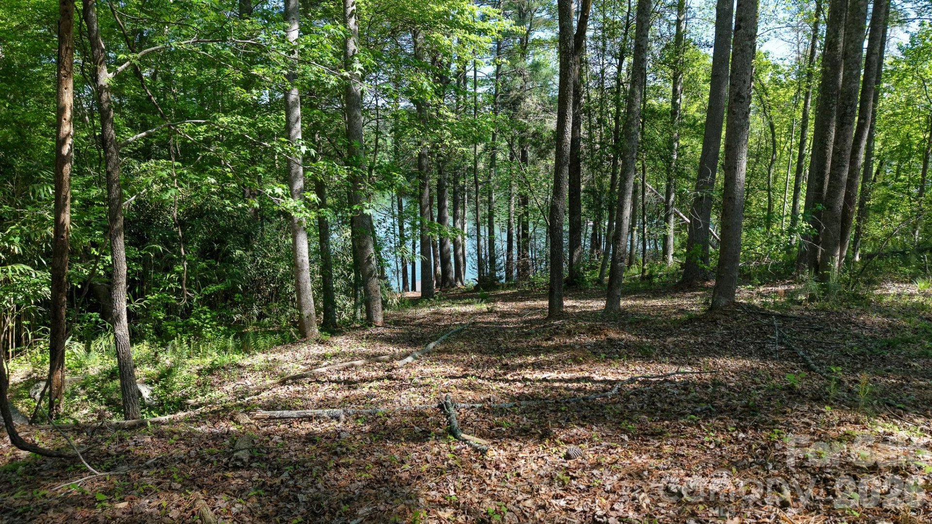 105 Beacon Ridge Drive - Photo 19