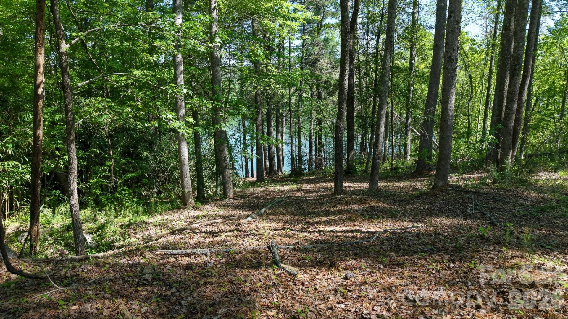 105 Beacon Ridge Drive - Photo 19