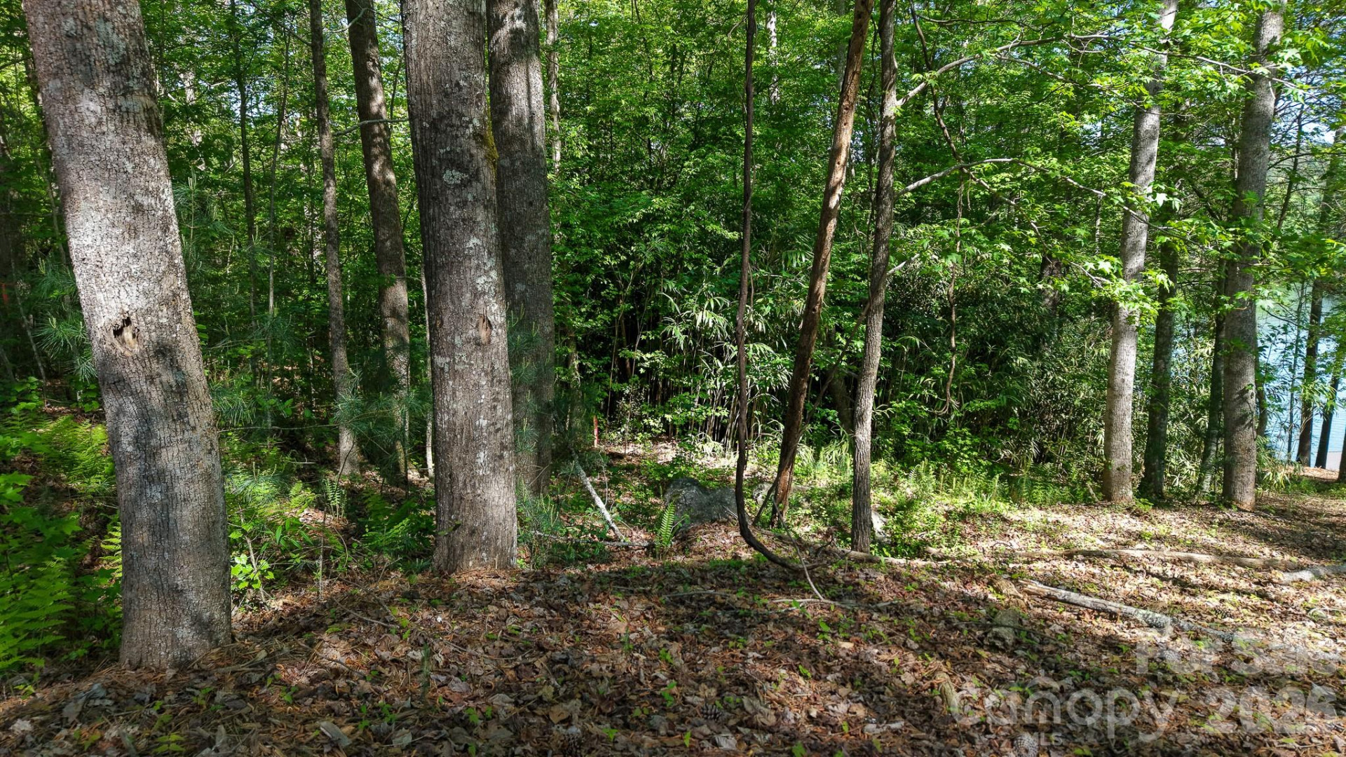 105 Beacon Ridge Drive - Photo 20