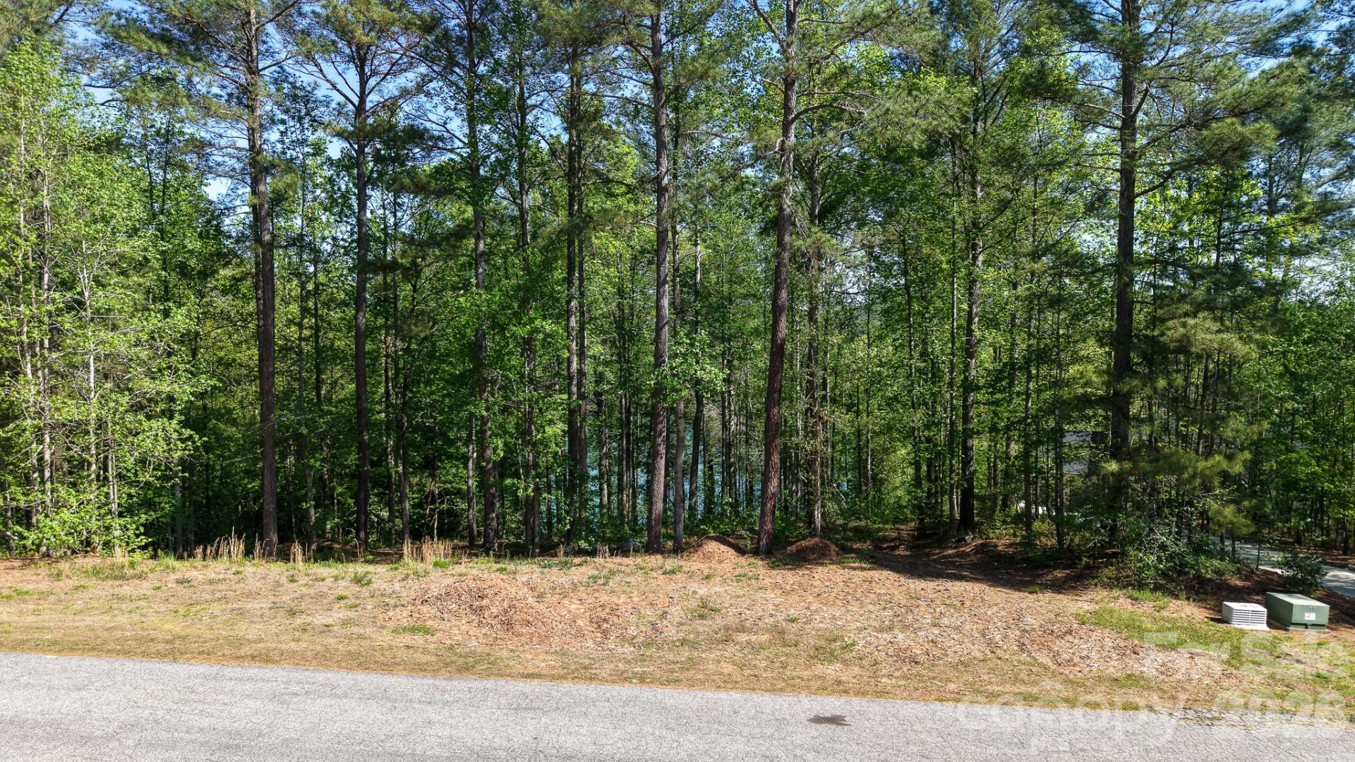 105 Beacon Ridge Drive - Photo 24