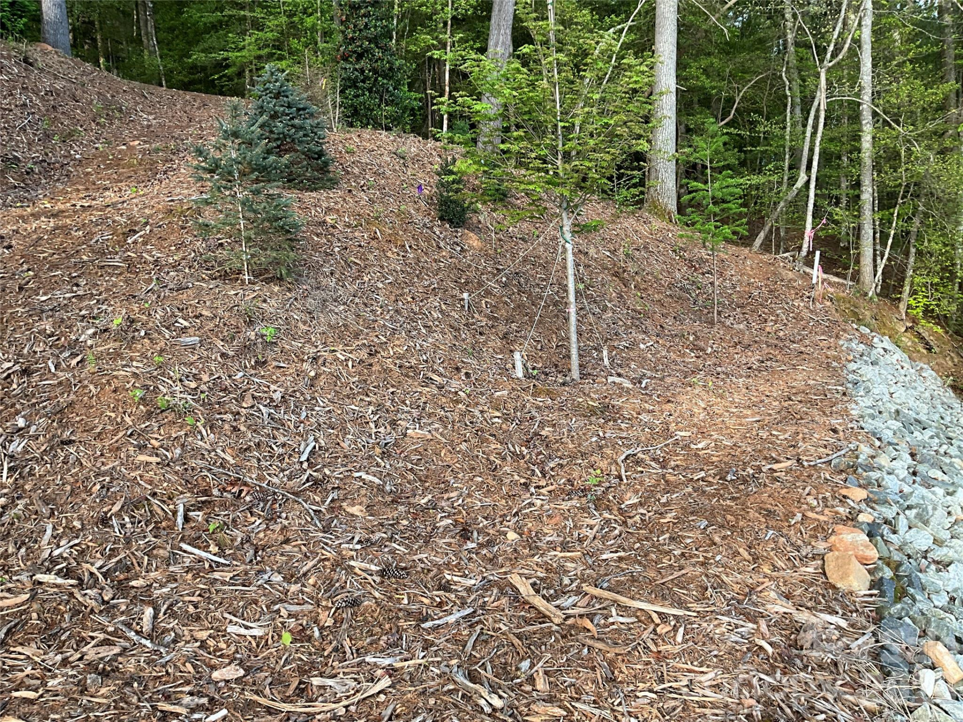 105 Beacon Ridge Drive - Photo 26