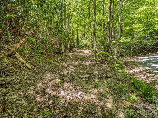 00 Lakeview Drive, Tryon, NC, 28782