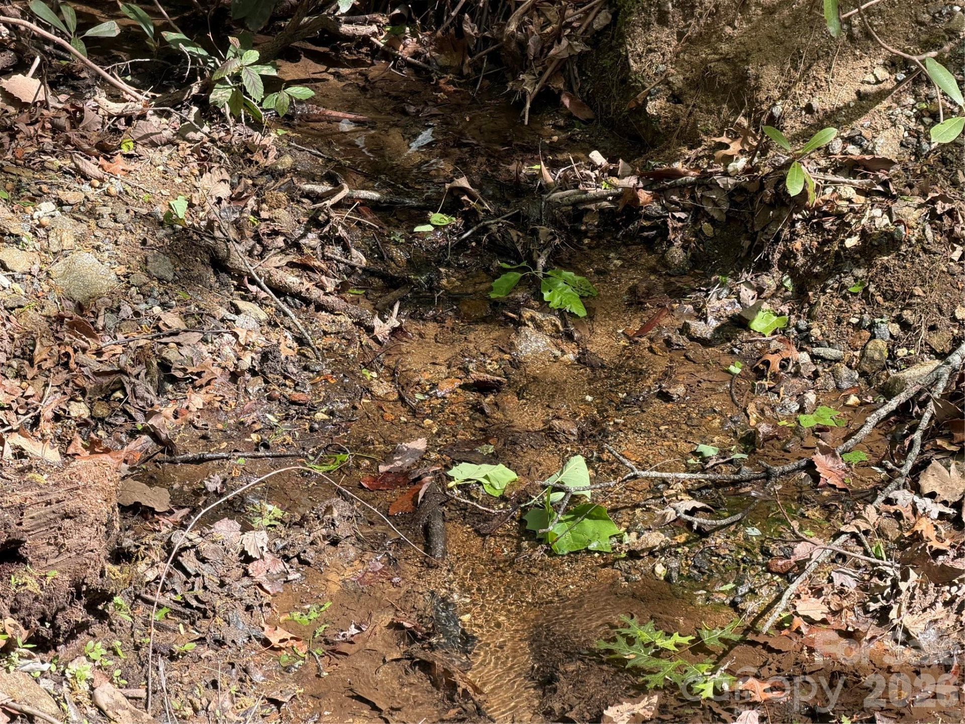 00 Lakeview Drive #414/415 - Photo 2