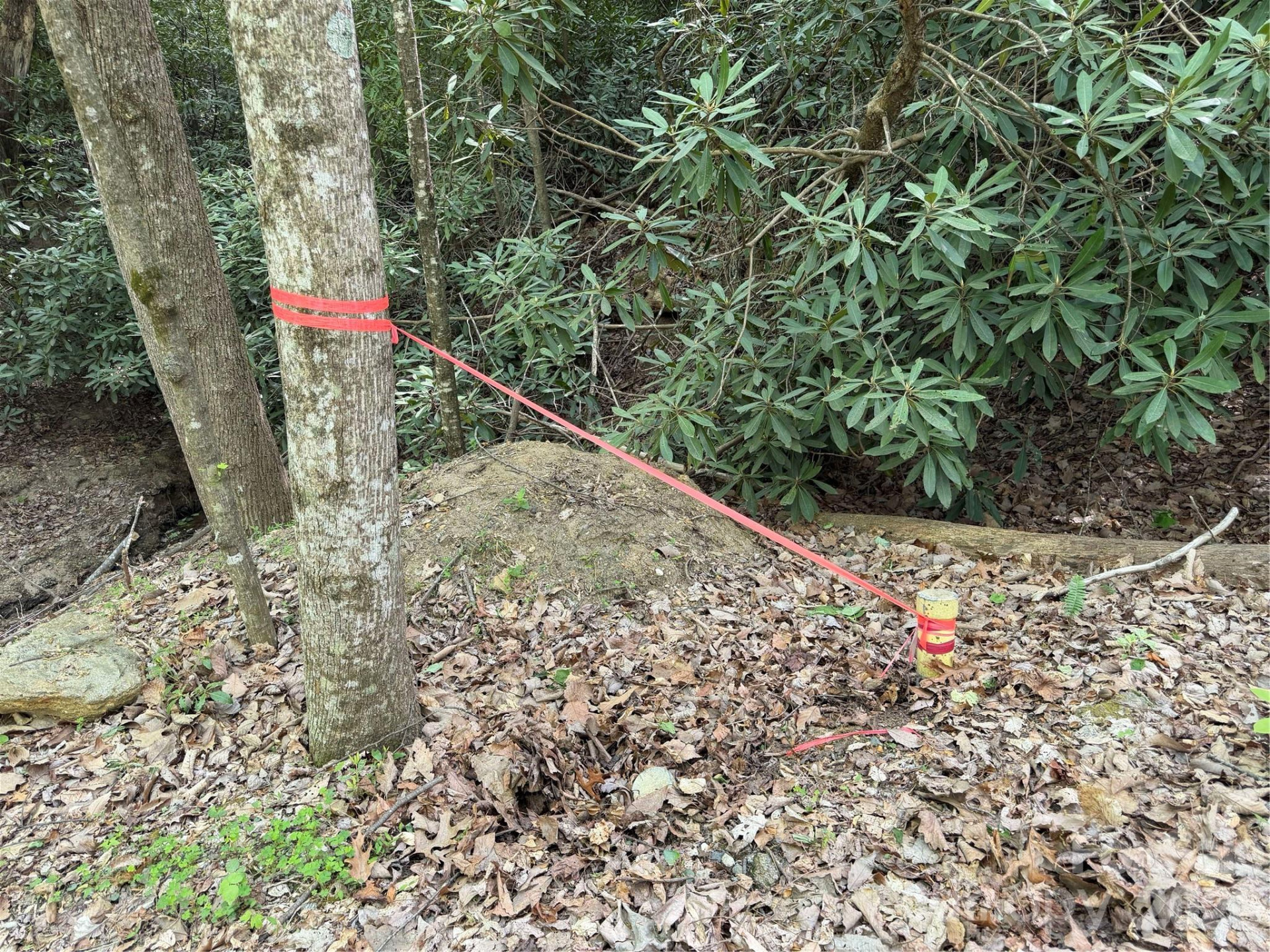 00 Lakeview Drive #414/415 - Photo 11