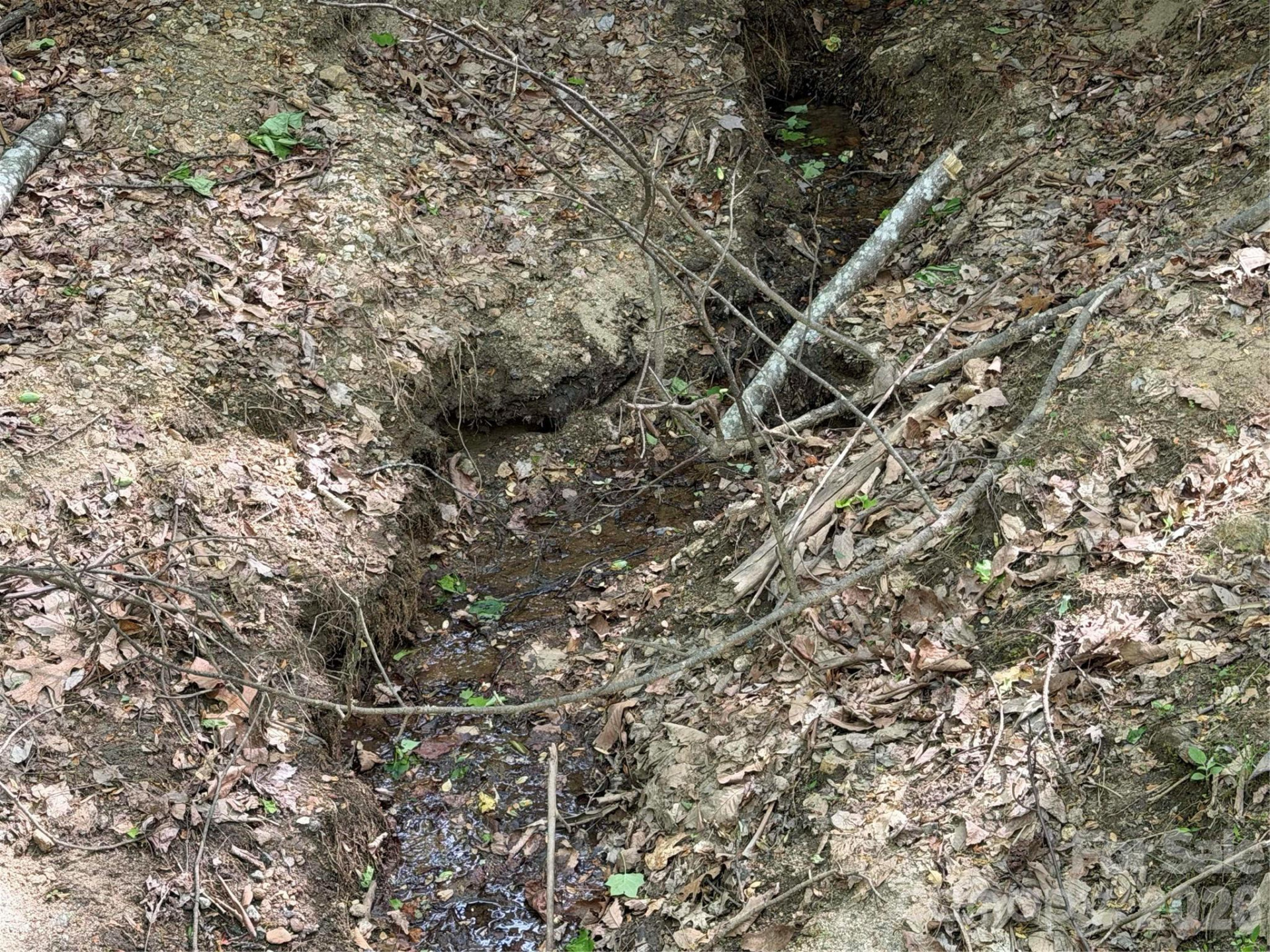 00 Lakeview Drive #414/415 - Photo 12