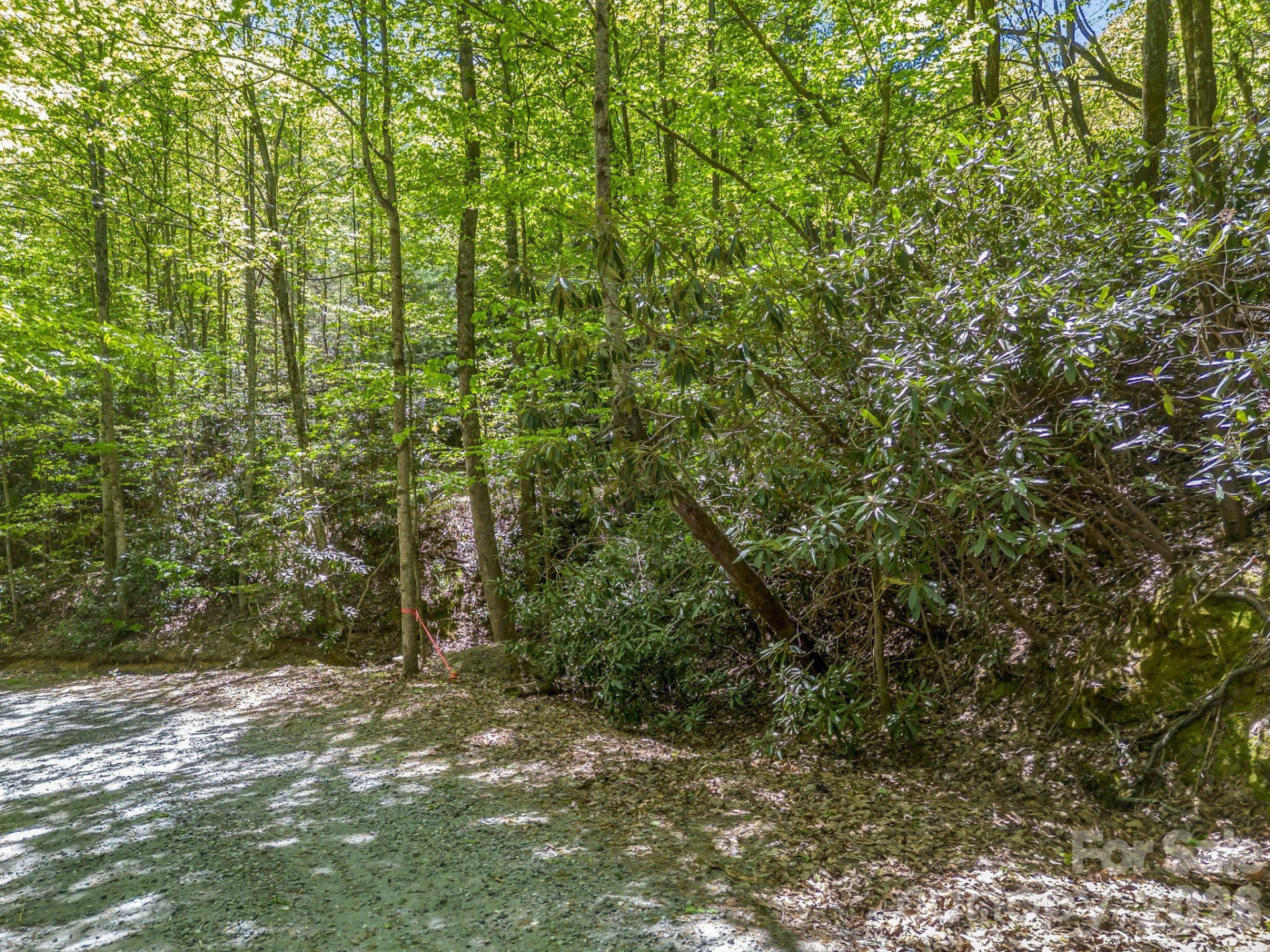 00 Lakeview Drive #414/415 - Photo 13