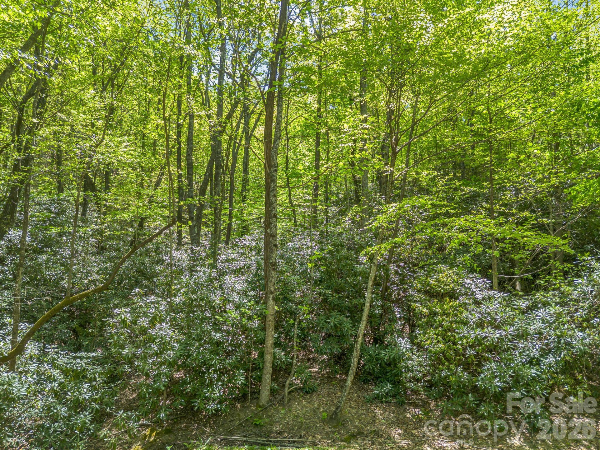 00 Lakeview Drive #414/415 - Photo 14