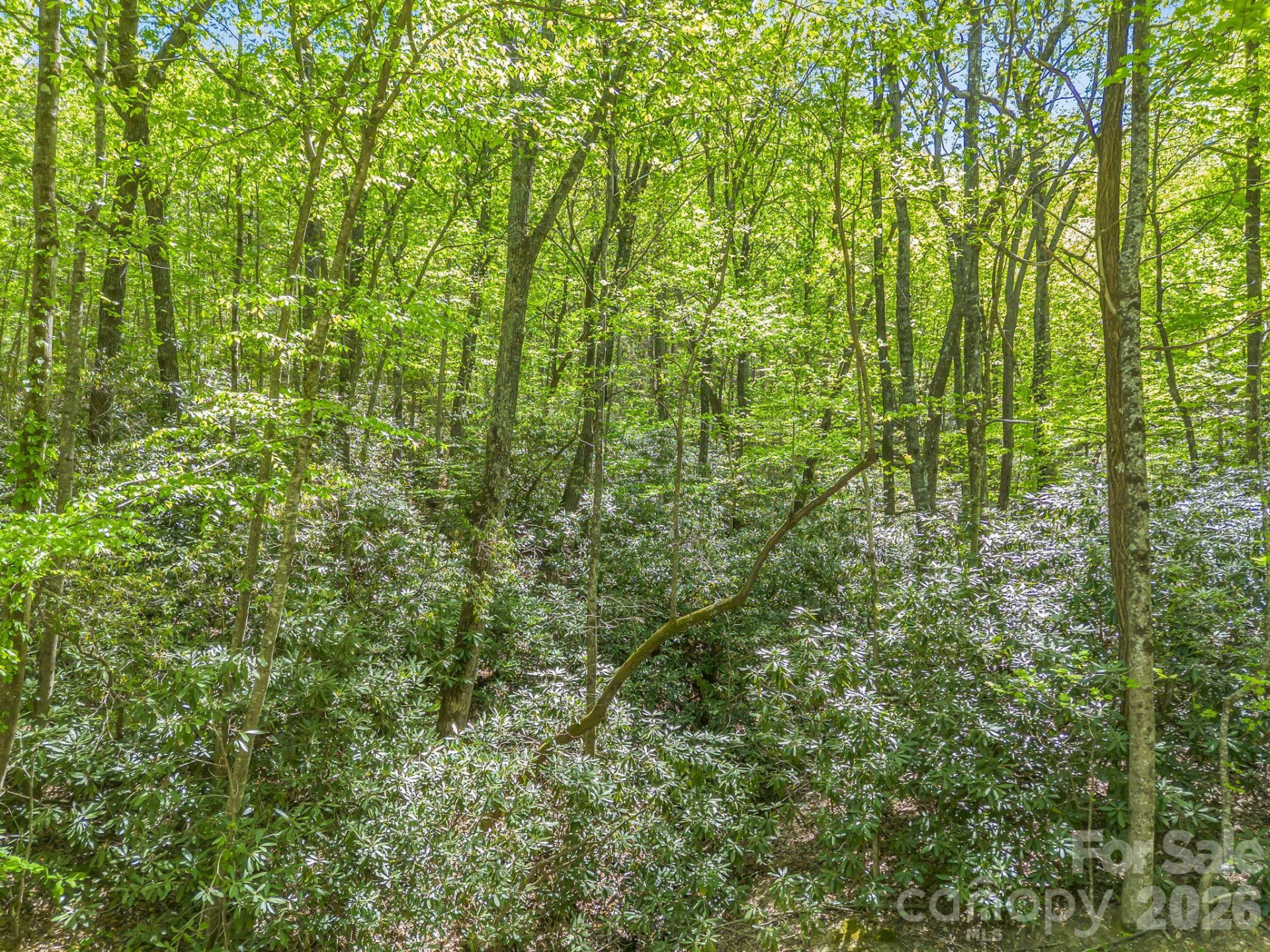 00 Lakeview Drive #414/415 - Photo 15