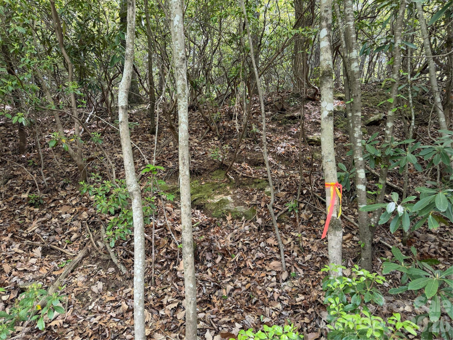 00 Lakeview Drive #414/415 - Photo 16