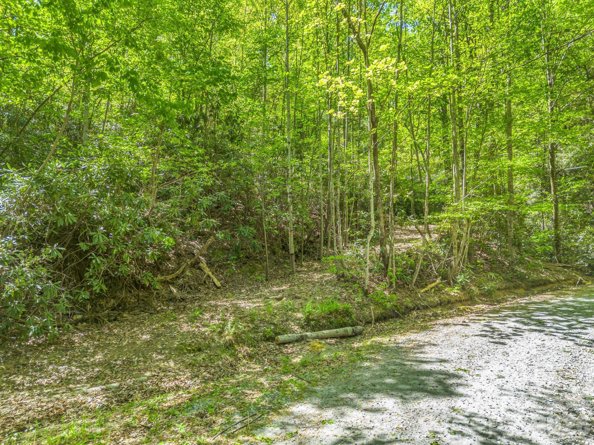 00 Lakeview Drive #414/415 - Photo 3