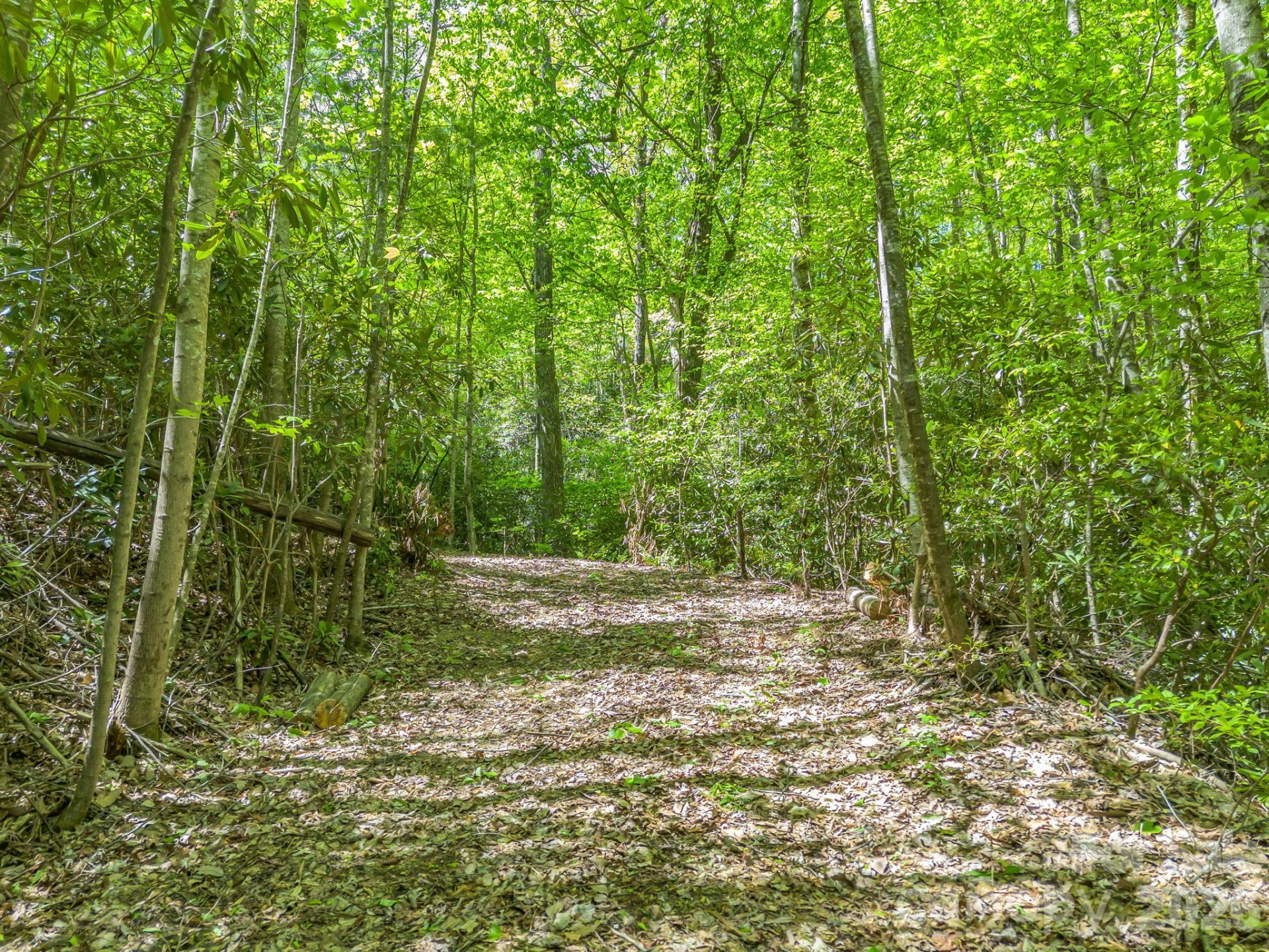 00 Lakeview Drive #414/415 - Photo 4