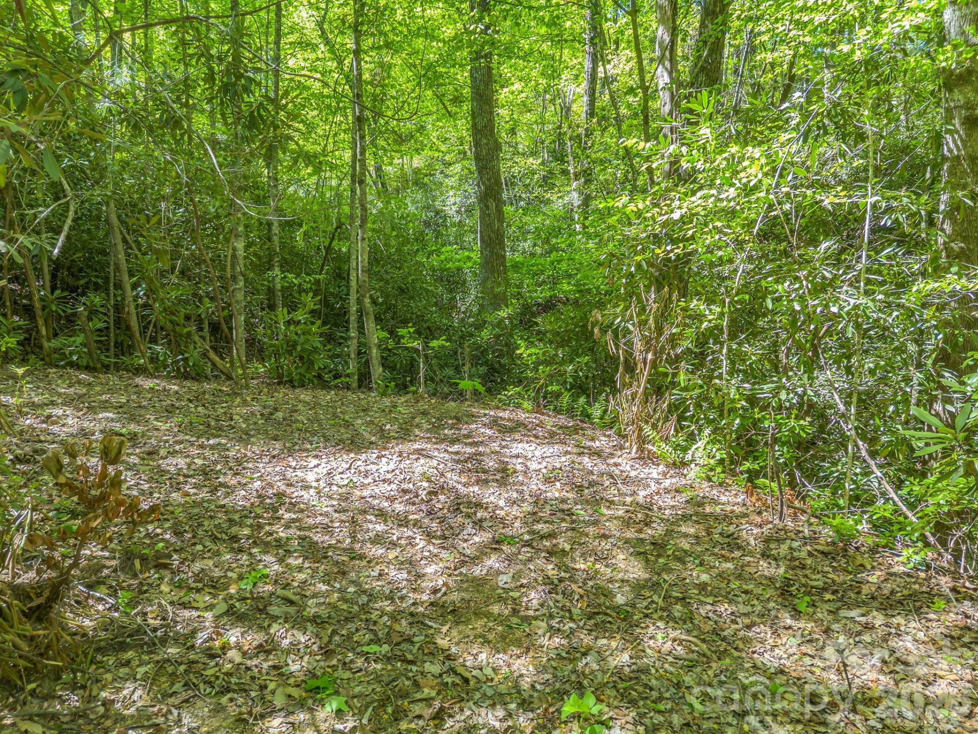 00 Lakeview Drive #414/415 - Photo 5