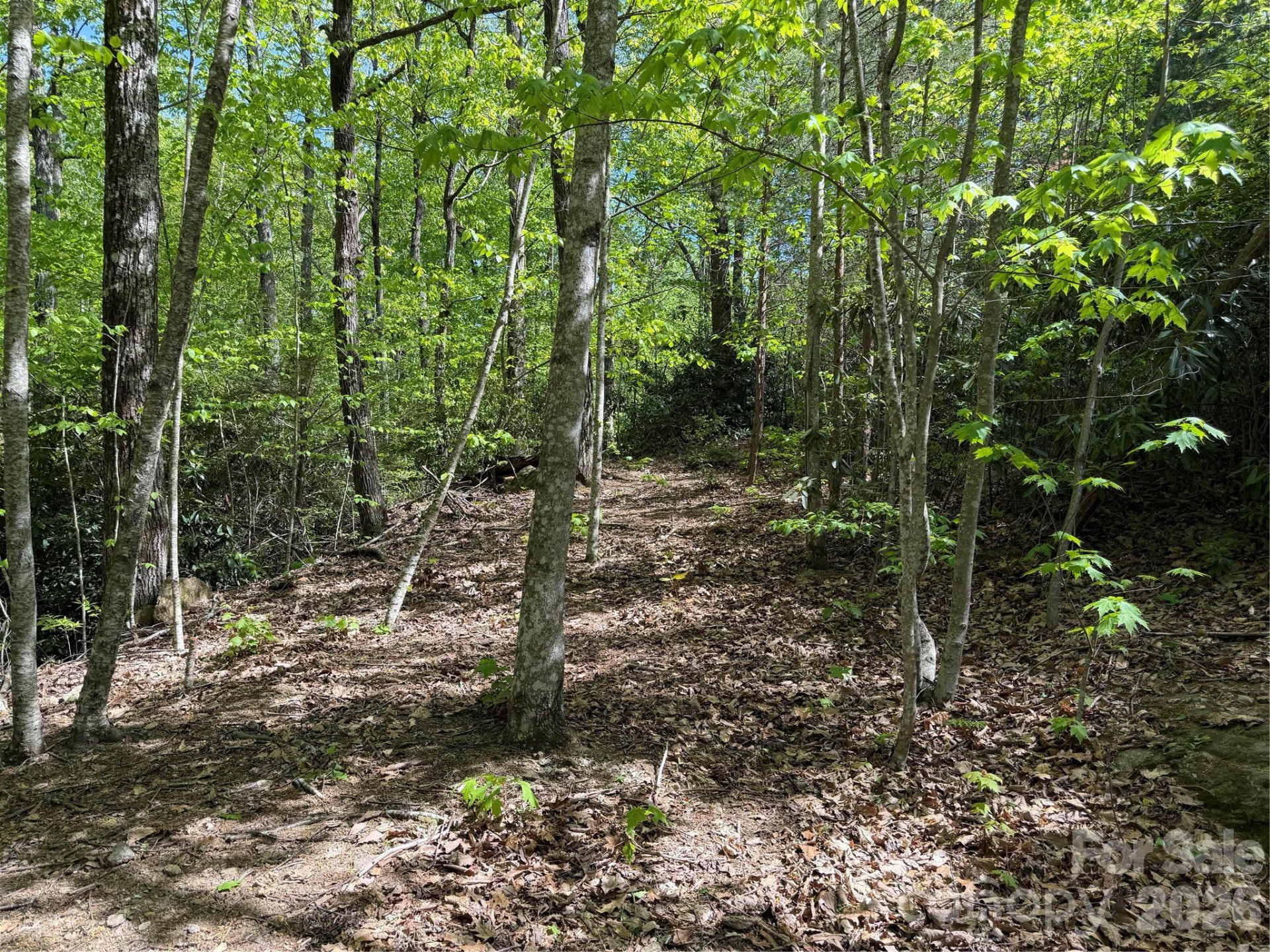 00 Lakeview Drive #414/415 - Photo 6