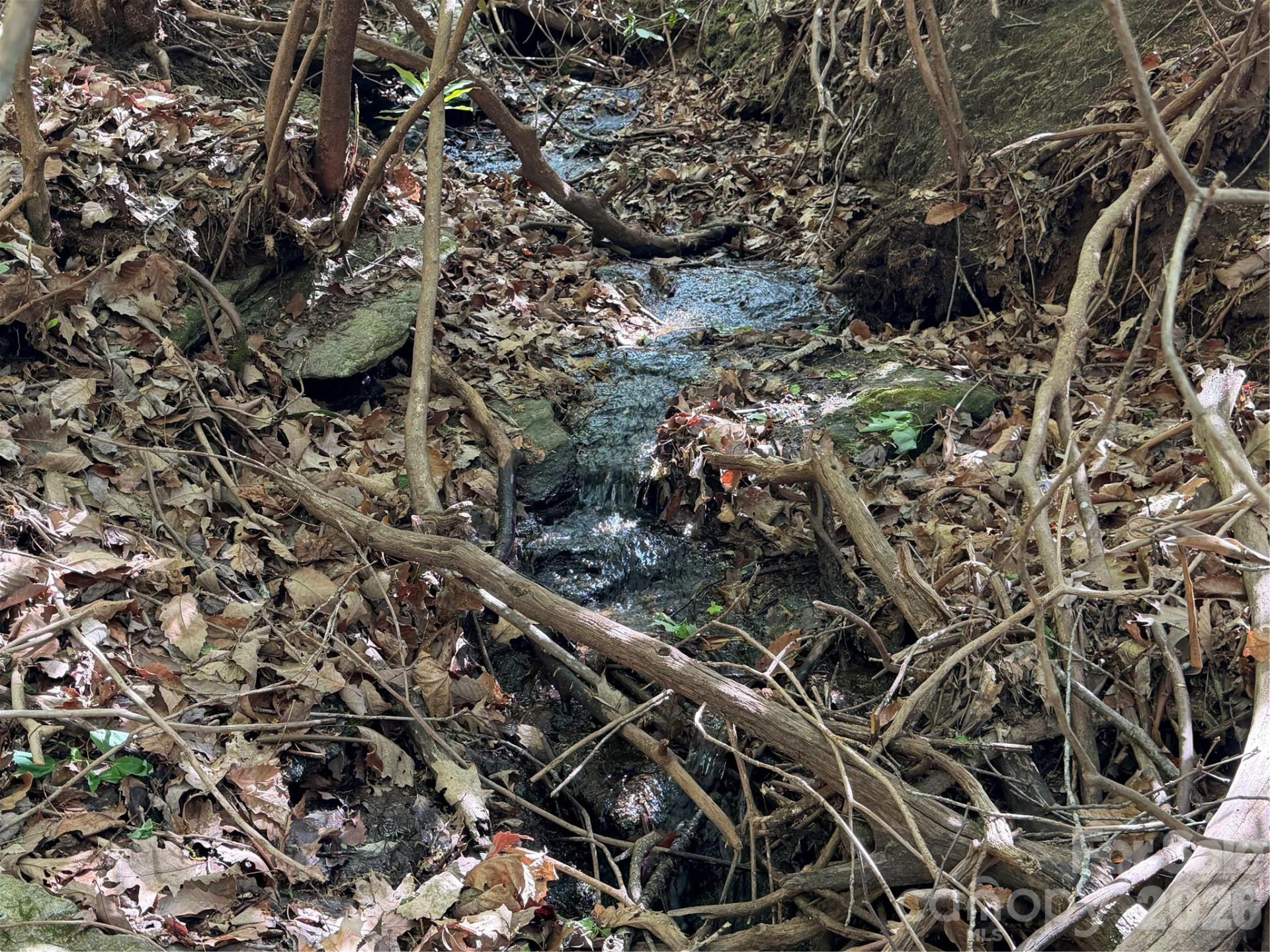 00 Lakeview Drive #414/415 - Photo 7