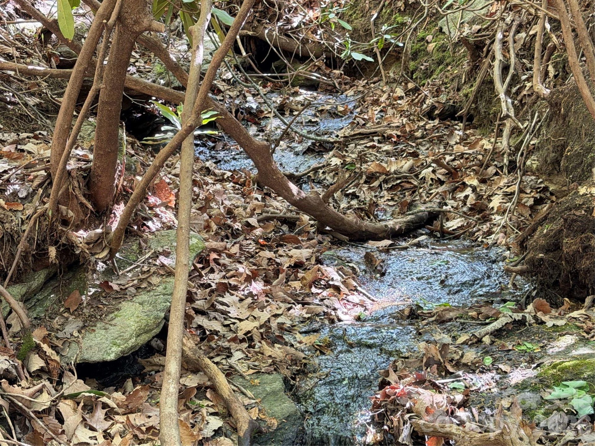 00 Lakeview Drive #414/415 - Photo 8