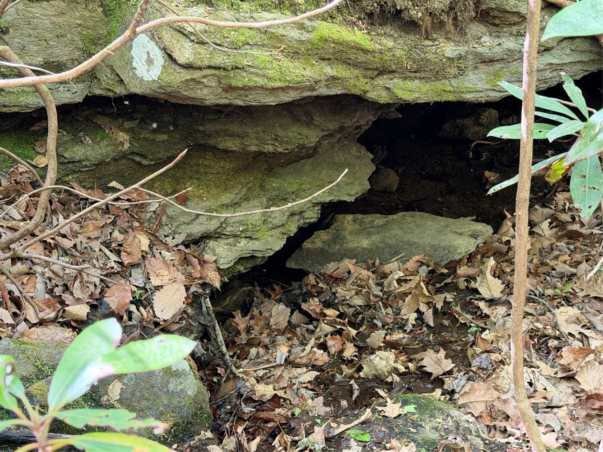 00 Lakeview Drive #414/415 - Photo 9